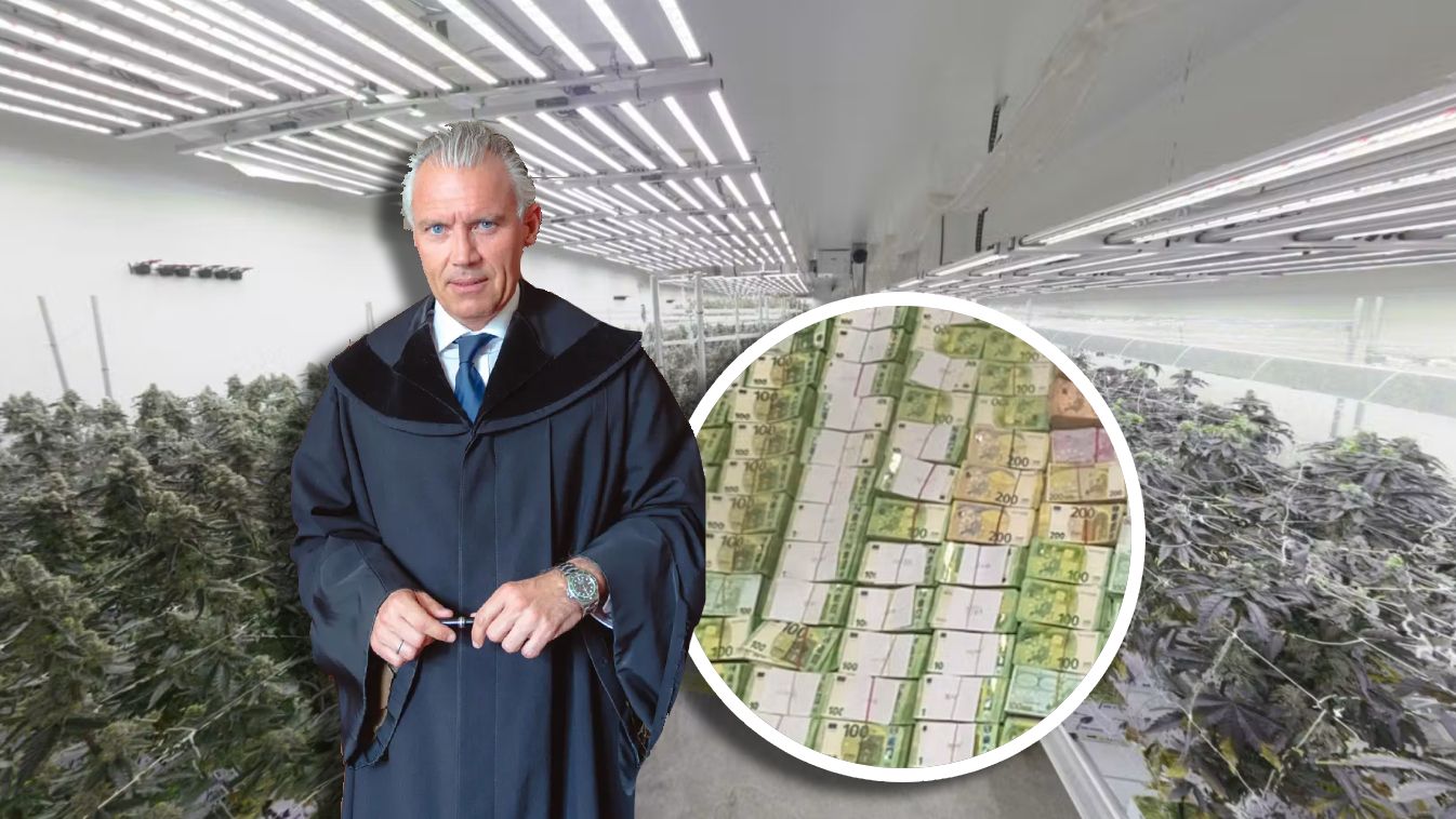 Top-Anwalt Normann Hofstätter verteidigt den Drogen-Banden-Boss mit dem Spitznamen 