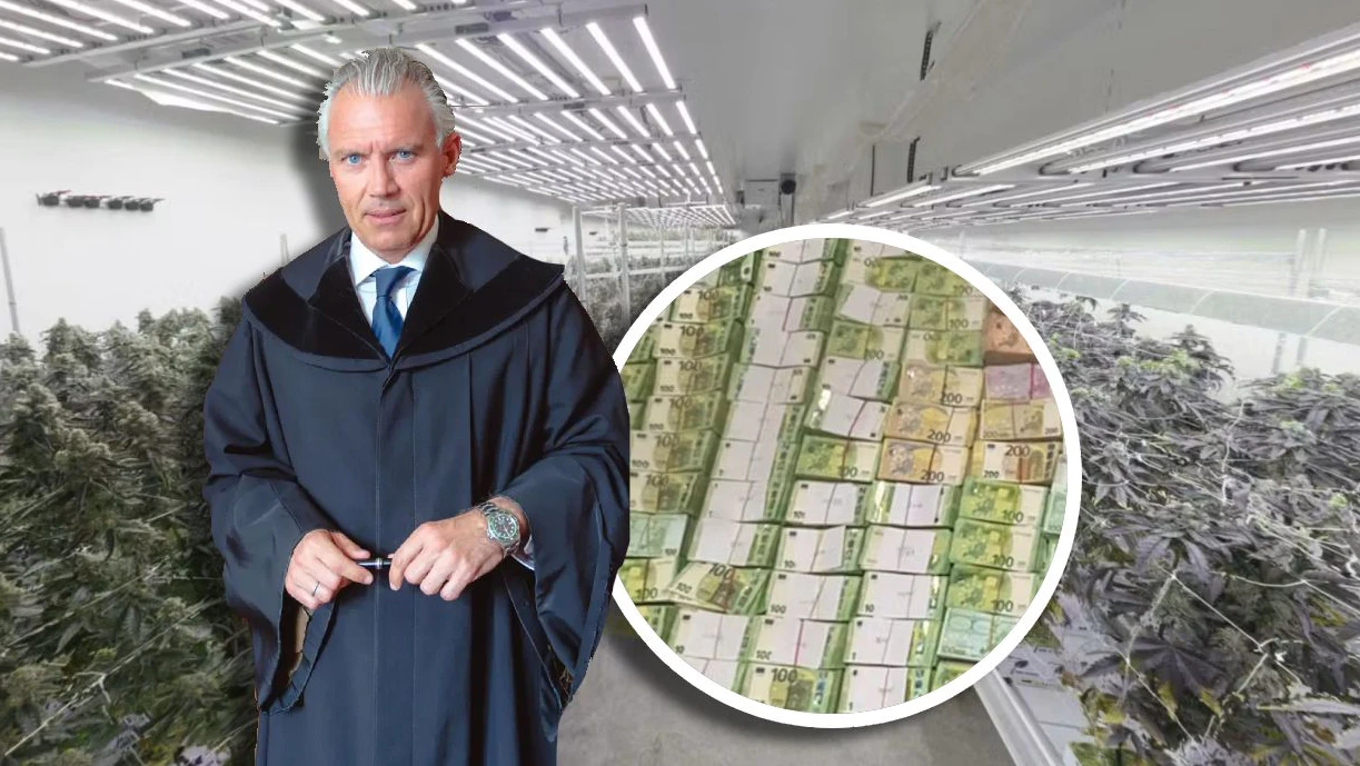 Top-Anwalt Normann Hofstätter verteidigt den Drogen-Banden-Boss mit dem Spitznamen "Psycho"