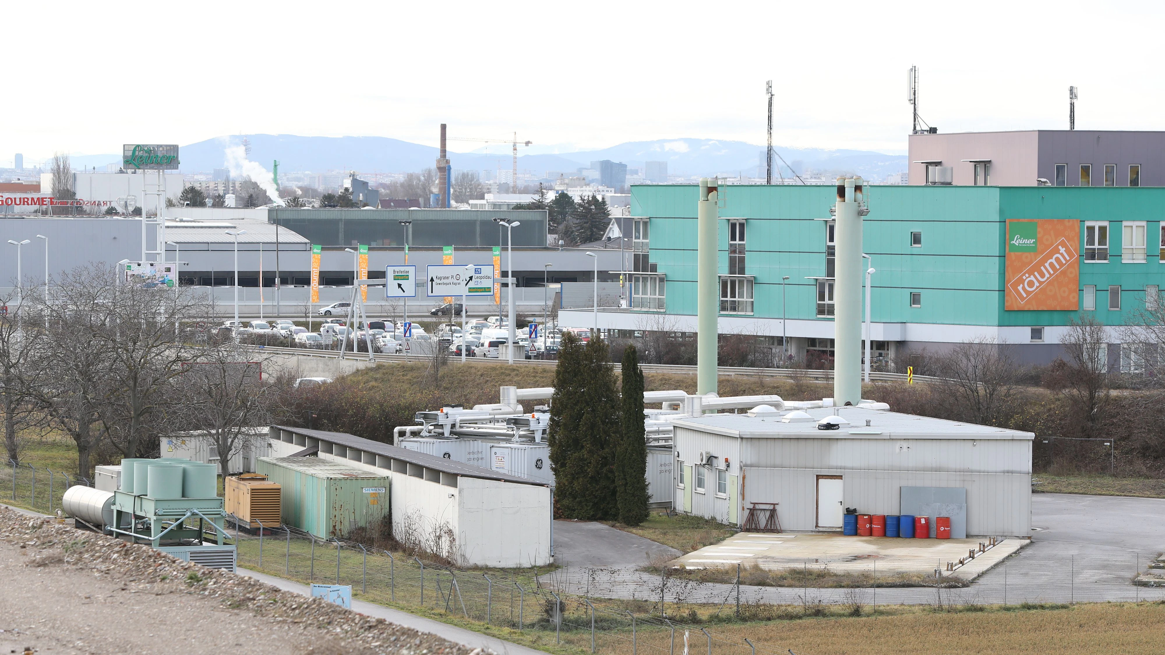 20181227 / ziegen auf der deponie rautenweg / foto: denise auer / tageszeitung heute