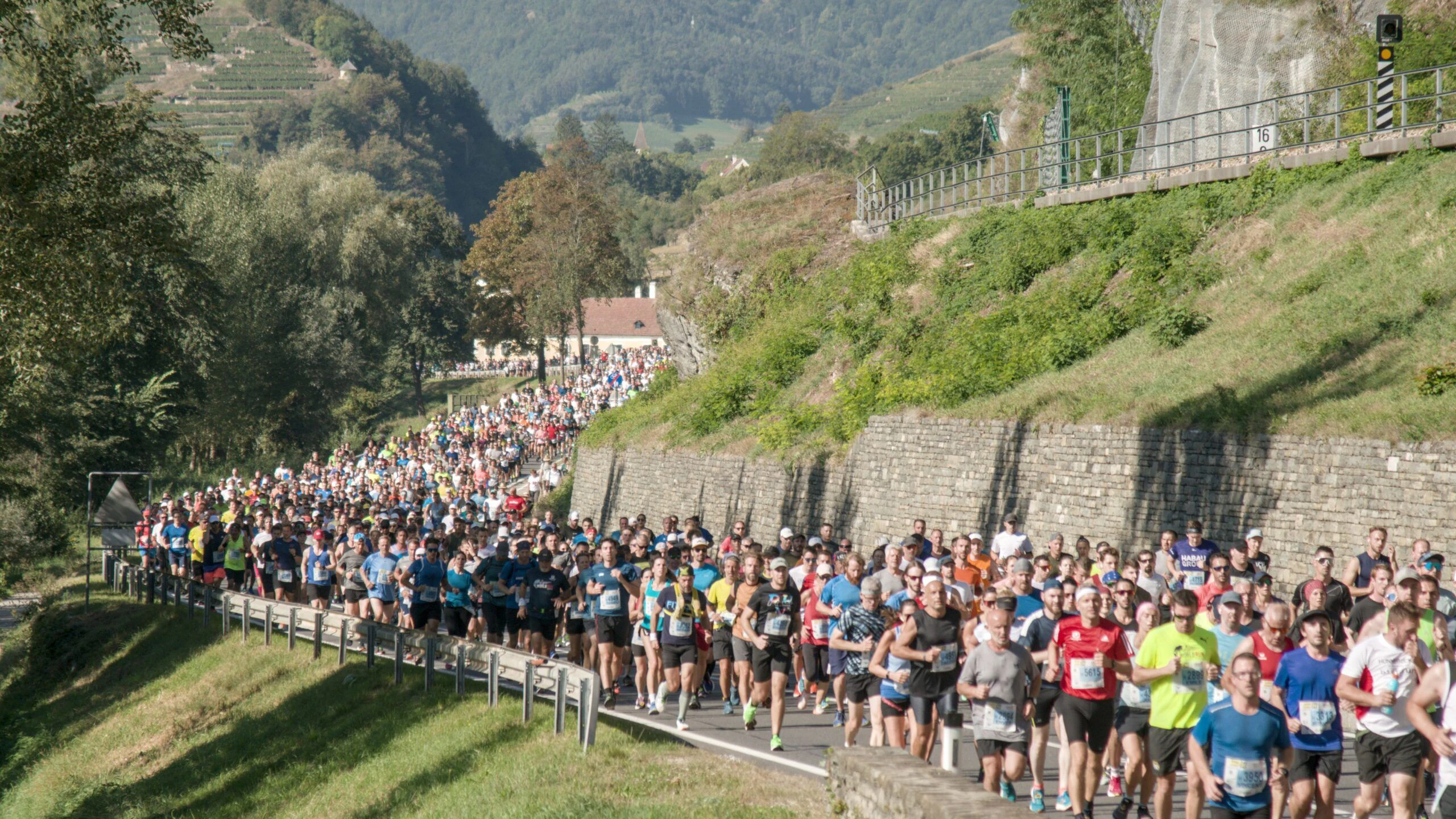 Weltkulturerbe: Die Laufstrecke führt mitten durch die wunderschöne Weinregion der Wachau.