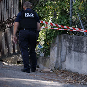 Renoir-Raub: Warum die Chance, die Bilder wiederzufinden, gering ist