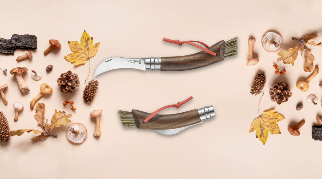 Heute.at - Opinel macht den Herbst zur Pilzsaison