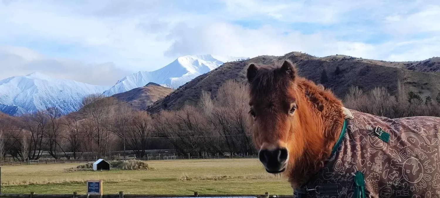 Zwischen geretteten Pferden und imposanten Bergen erleben Helfer auf der Kind Farm ein außergewöhnliches Stück Neuseeland.