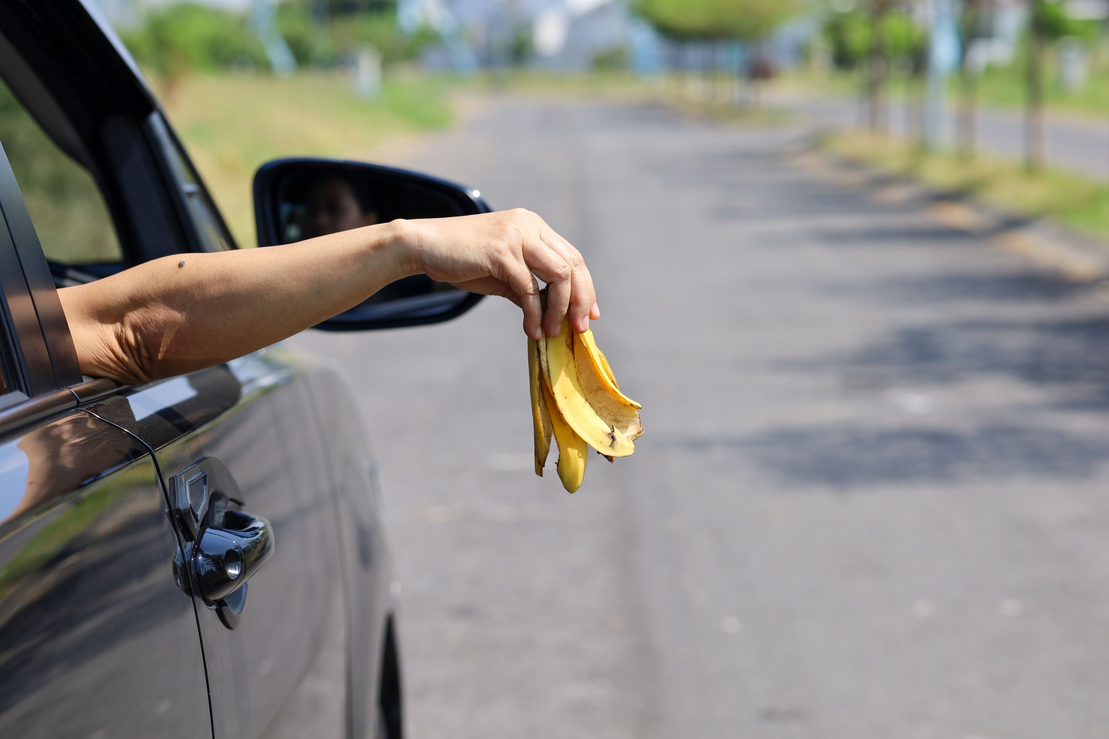 Banane aufgegessen, Schale aus dem Autofenster? Was harmlos klingt, kann richtig teuer werden.