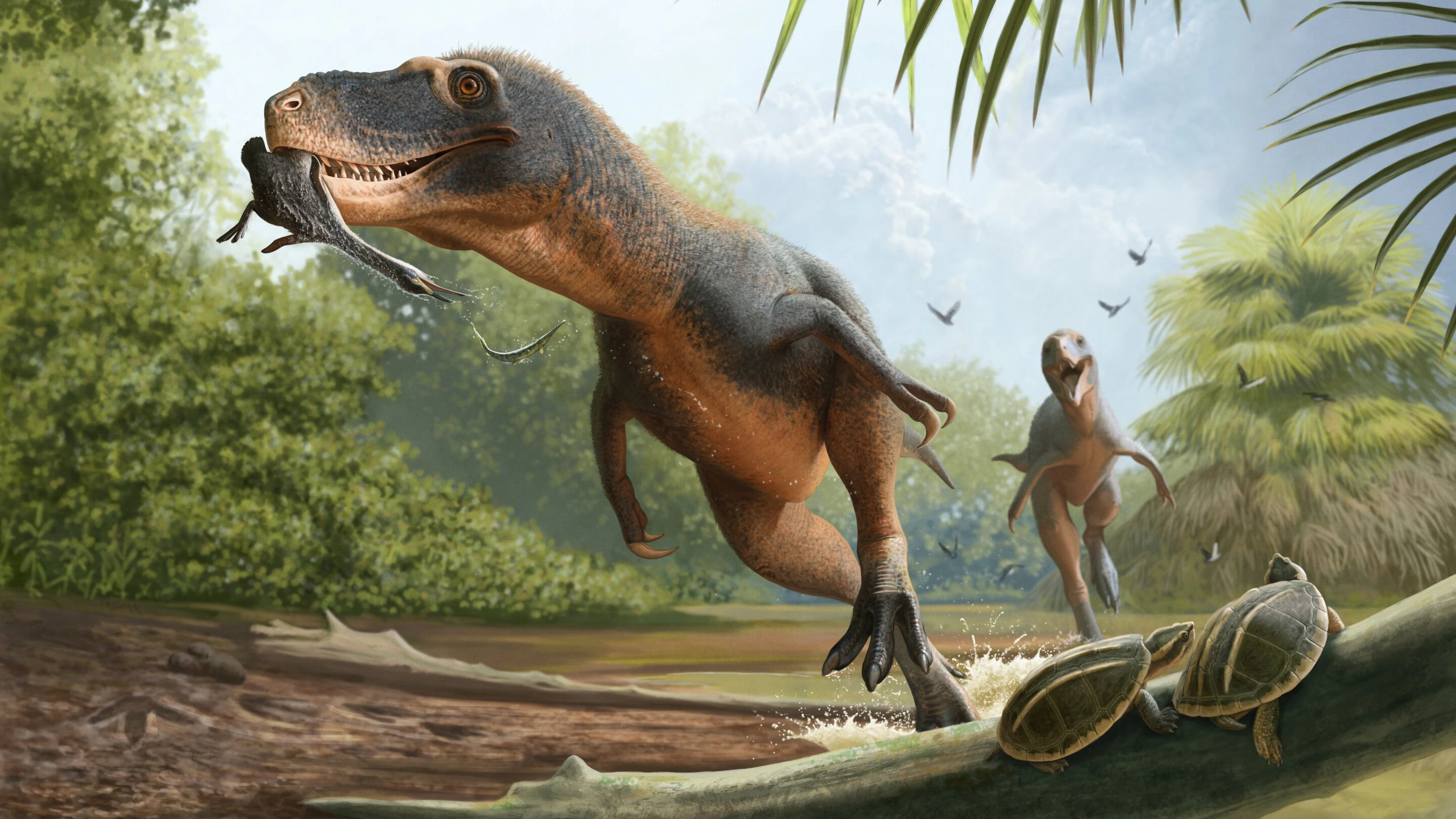 Eine Illustration eines Tyrannosauriers, der einen urzeitlichen Tauchvogel jagt