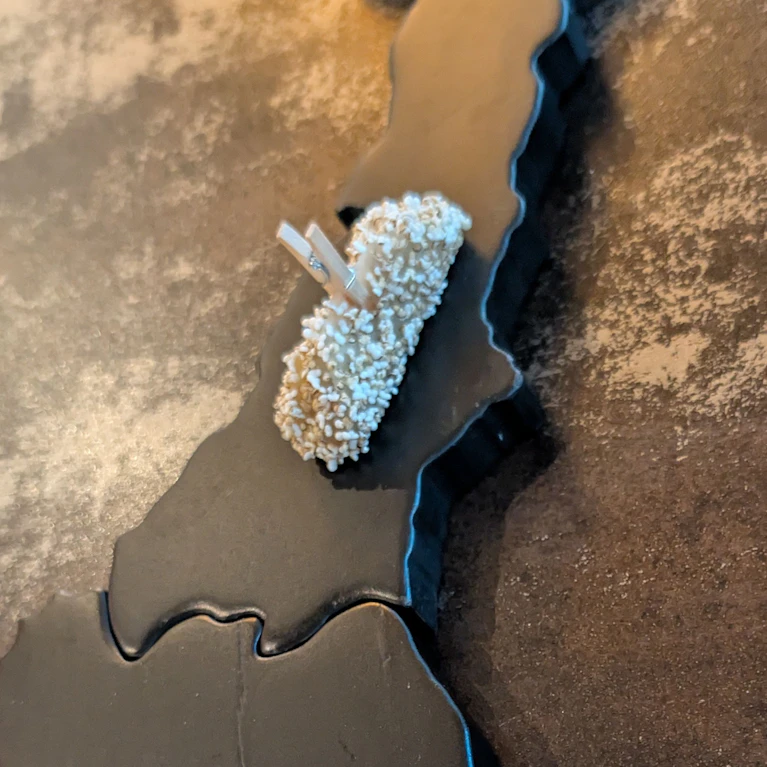 Das vom Guide Michelin ausgezeichnete "Atelier Fischer" in St. Gilgen am Wolfgangsee serviert offenbar einen vom Aussterben bedrohten Fisch in seinem Menü. Eine Verwechslung? Oder ein Marketing-Gag? Der Connaisseur und Die Cuisinière haben nachgefragt.