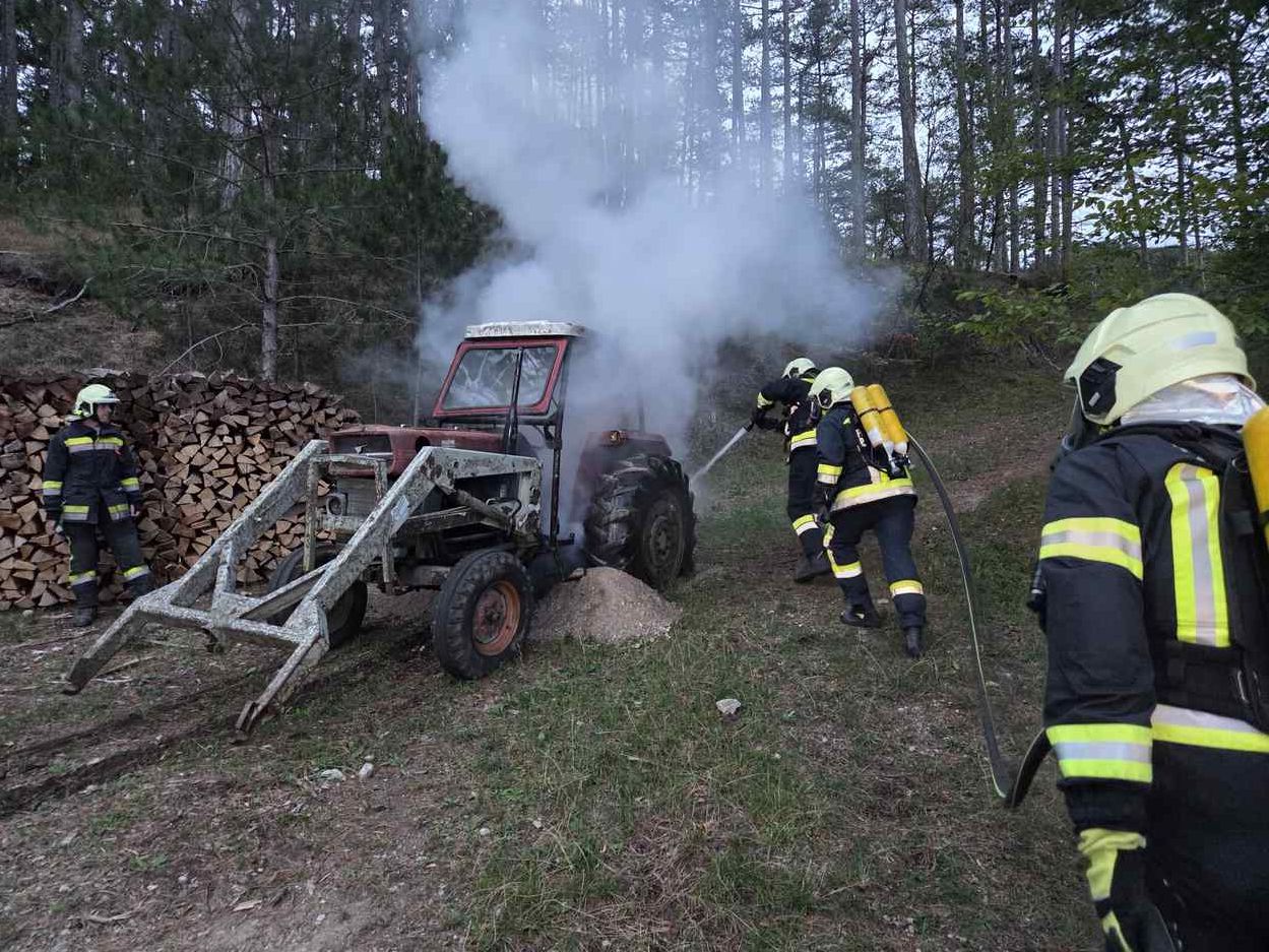 Als die Feuerwehr die Lichtung erreichte, schlugen bereits Flammen aus dem Führerhaus des Traktors.