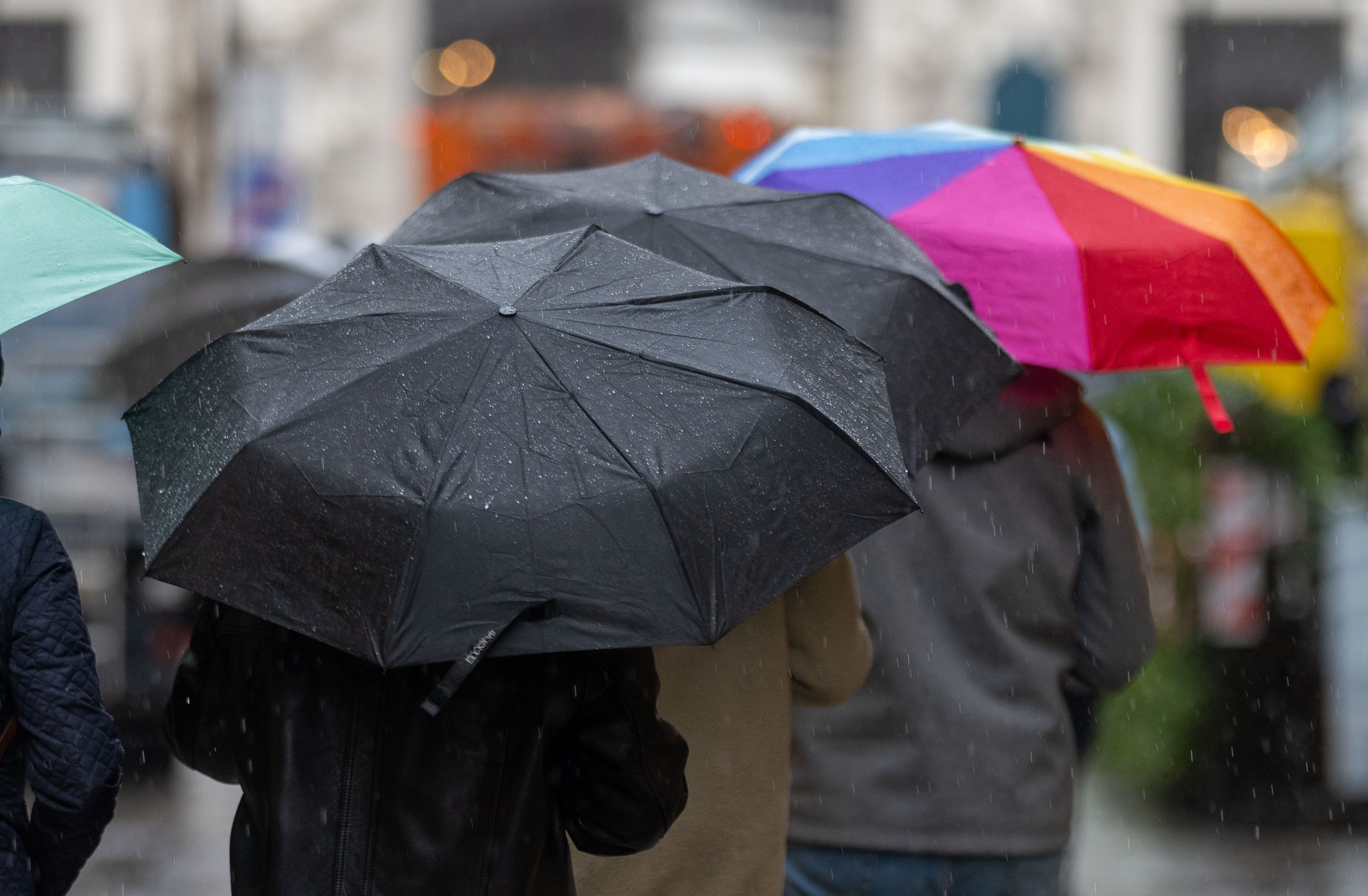 Heute.at - Wetter-Orakel überrascht mit Winter-Vorhersage