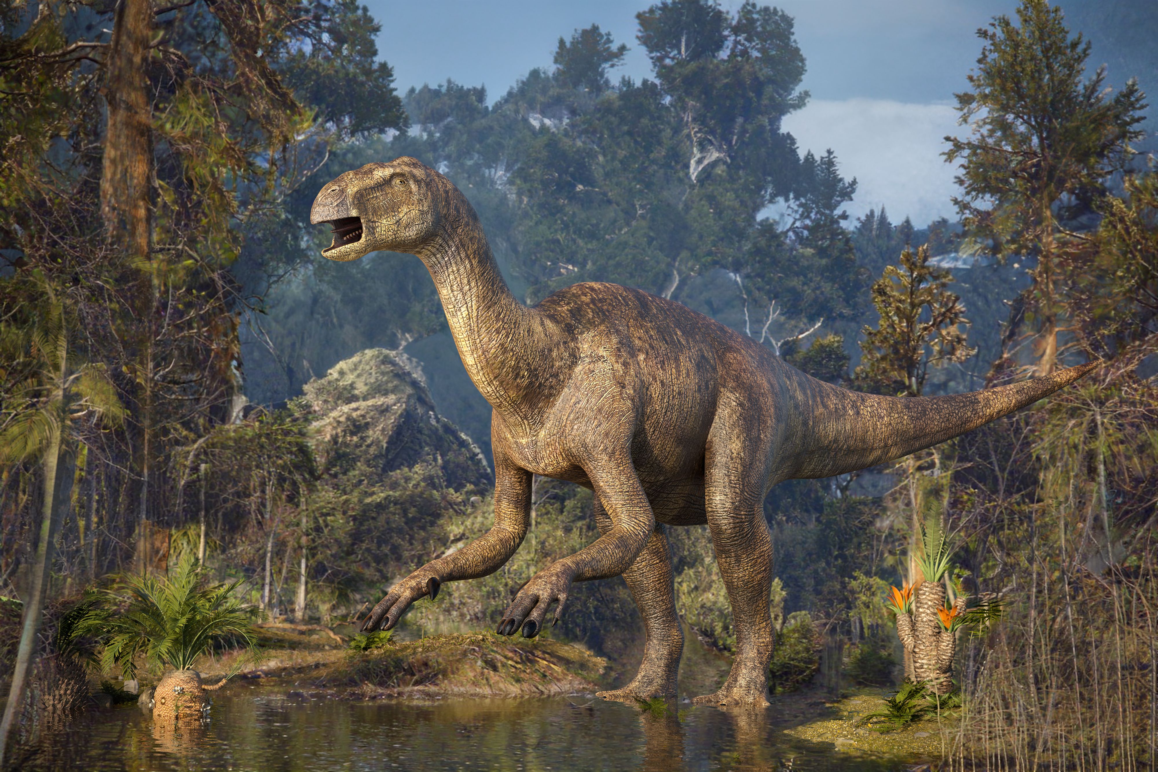 Heute.at - Sensationsfund: Mini-Dino in Japan entdeckt
