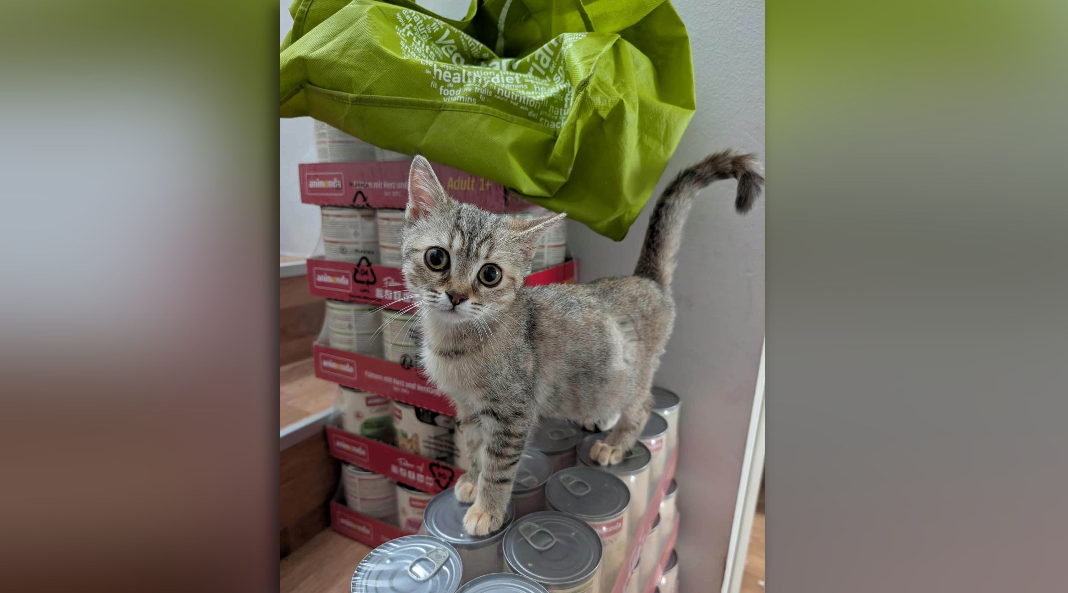 Tapfer: Die kleine Stella muss unter großen Schmerzen gelitten haben