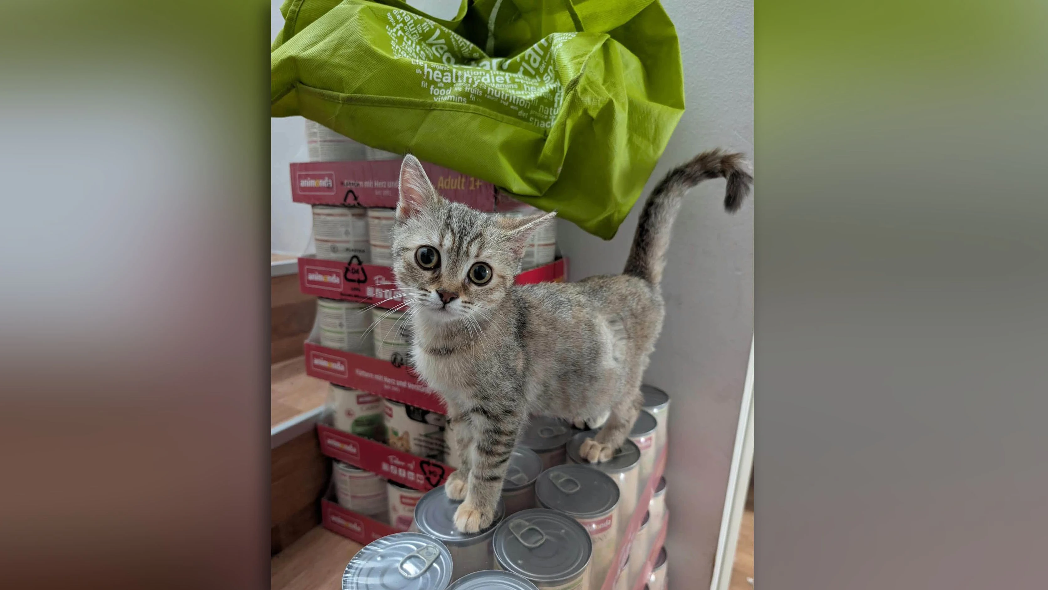 Tapfer: Die kleine Stella muss unter großen Schmerzen gelitten haben