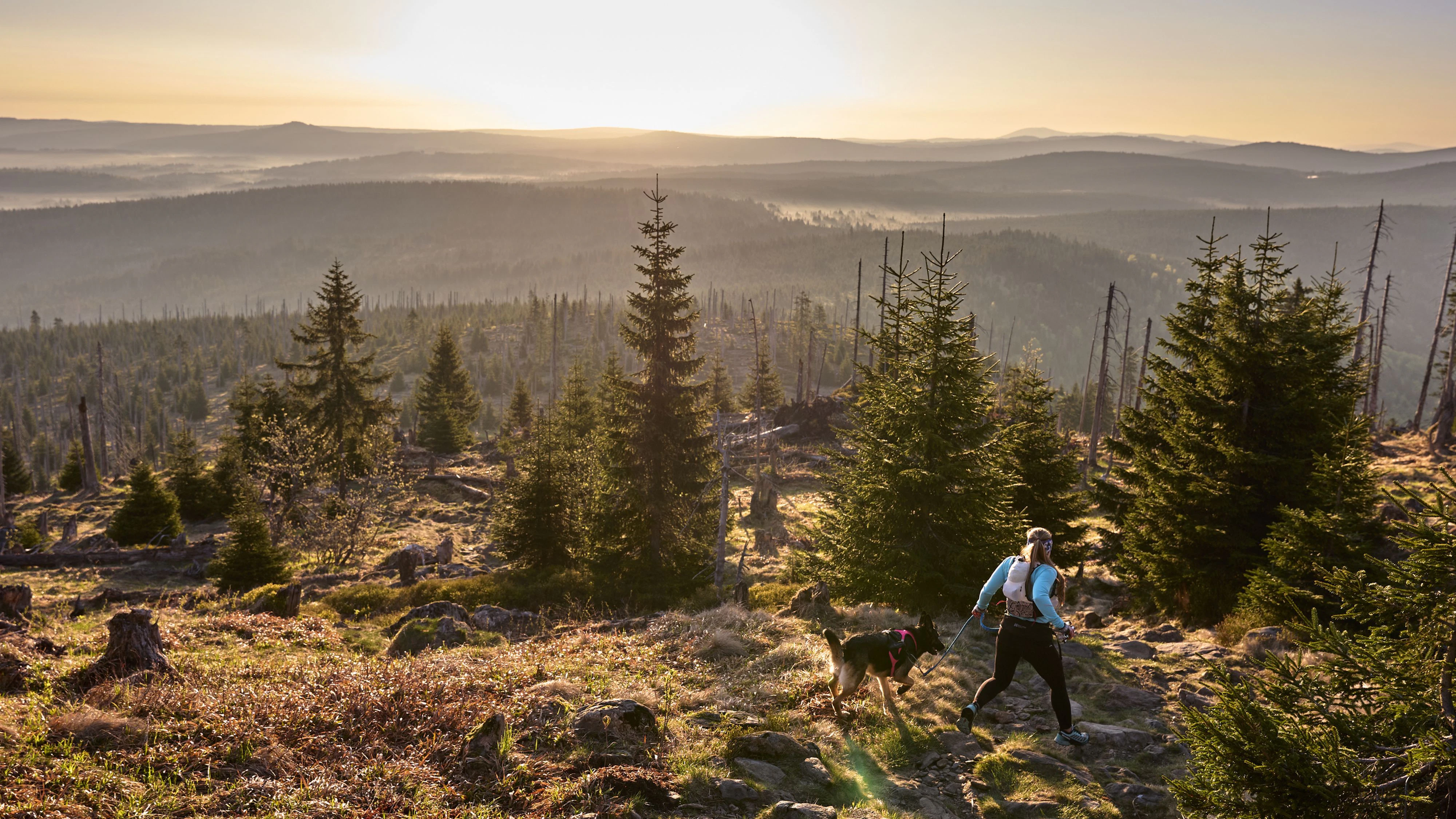 Der Bayrische Wald ist eine Natur-Oase.