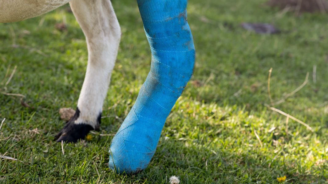 Der blaue Gips ist doch eigentlich richtig chic, oder? 