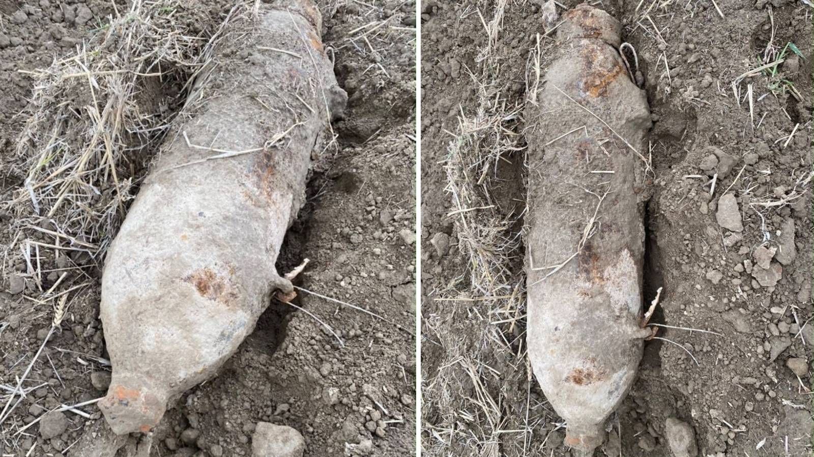 In der Lobau wurde eine 50 Kilogramm schwere Fliegerbombe entdeckt.