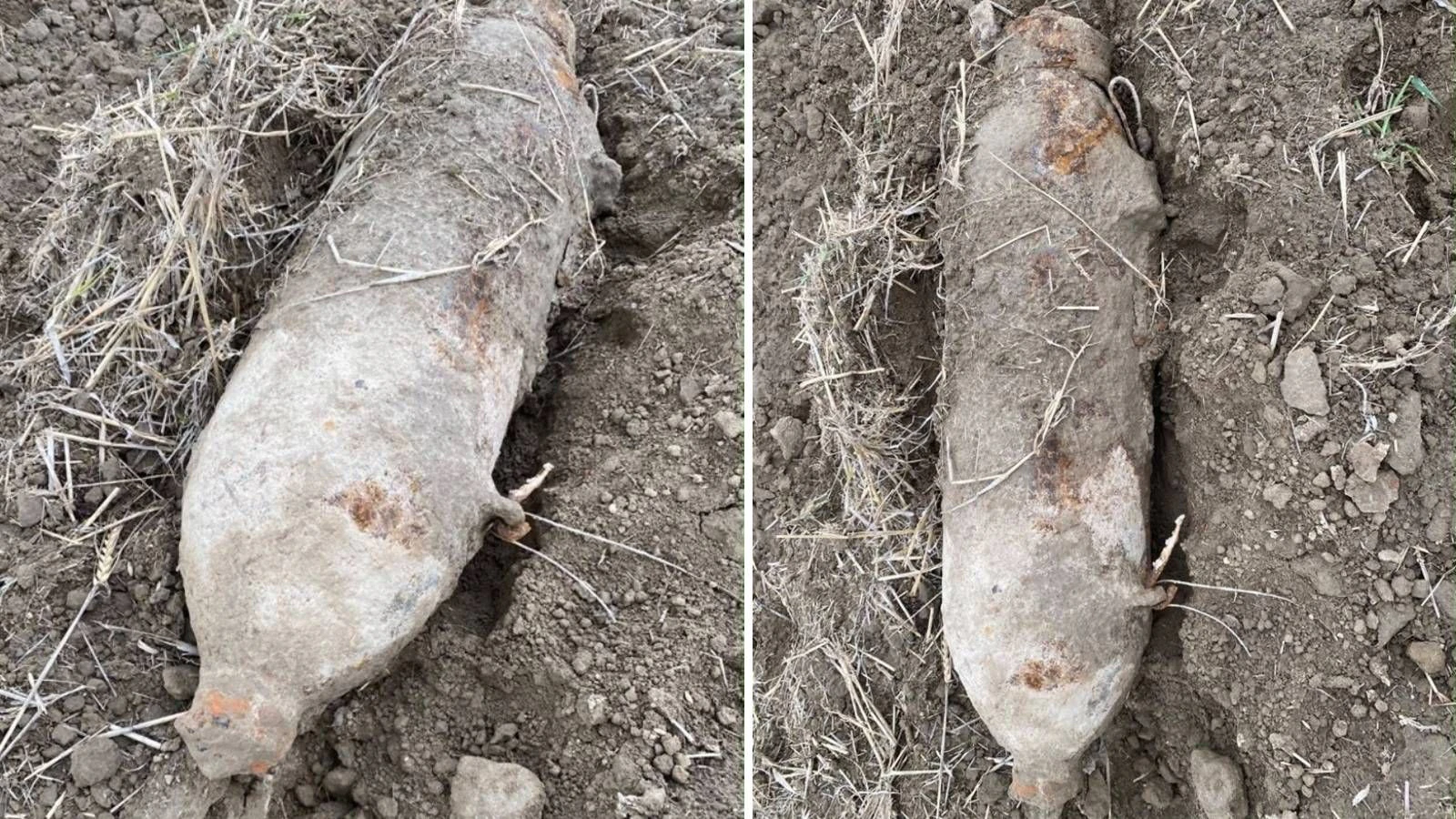 Heute.at - Förster finden 50-Kilo-Fliegerbombe auf Wiener Acker