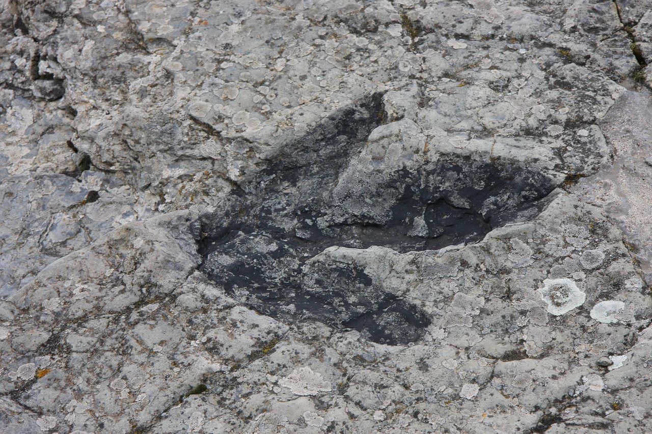 Spektakulärer Fossilienfund in Spanien