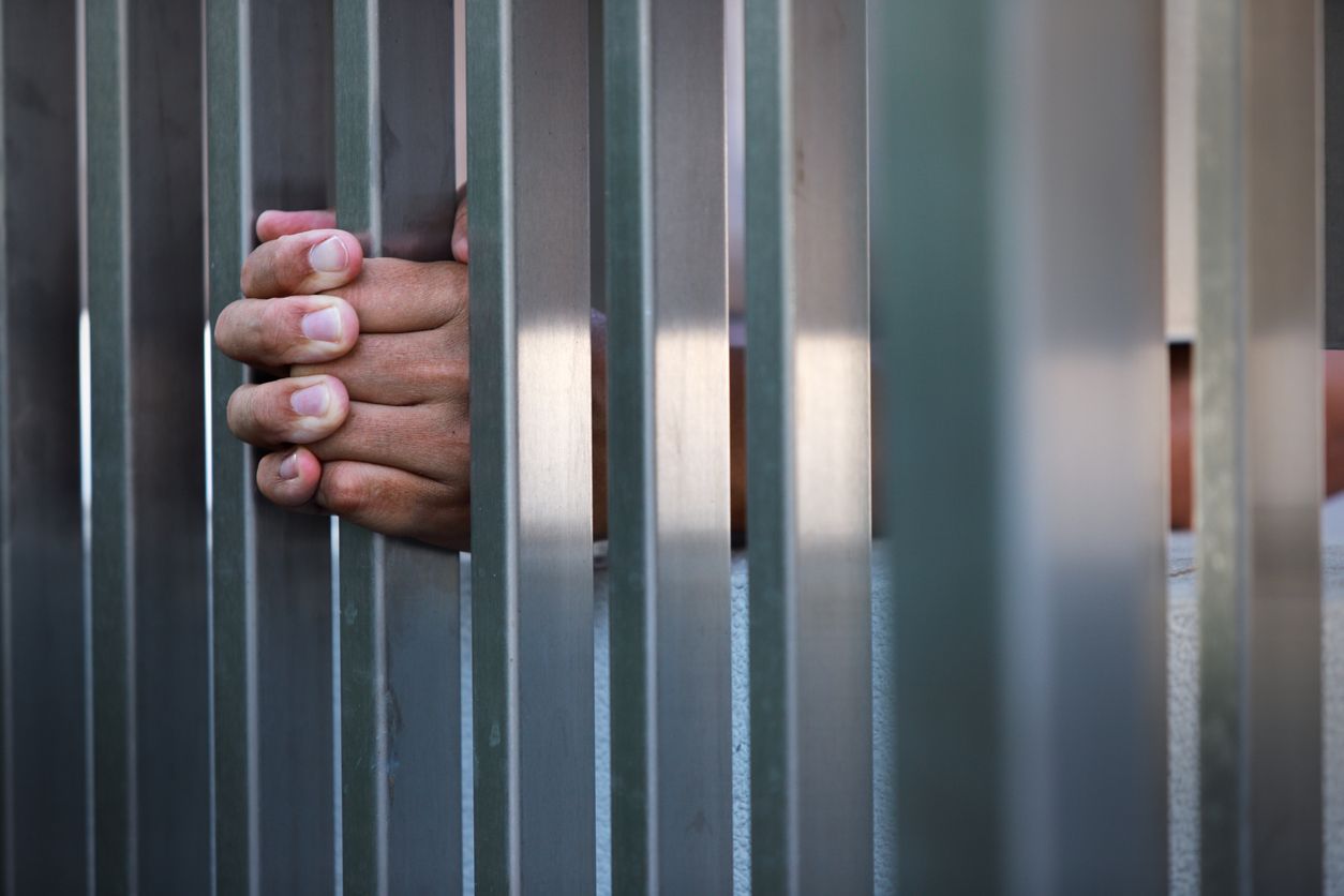 Heute.at - U-Haft für Tierquäler: Justiz nimmt Tierleid ernster