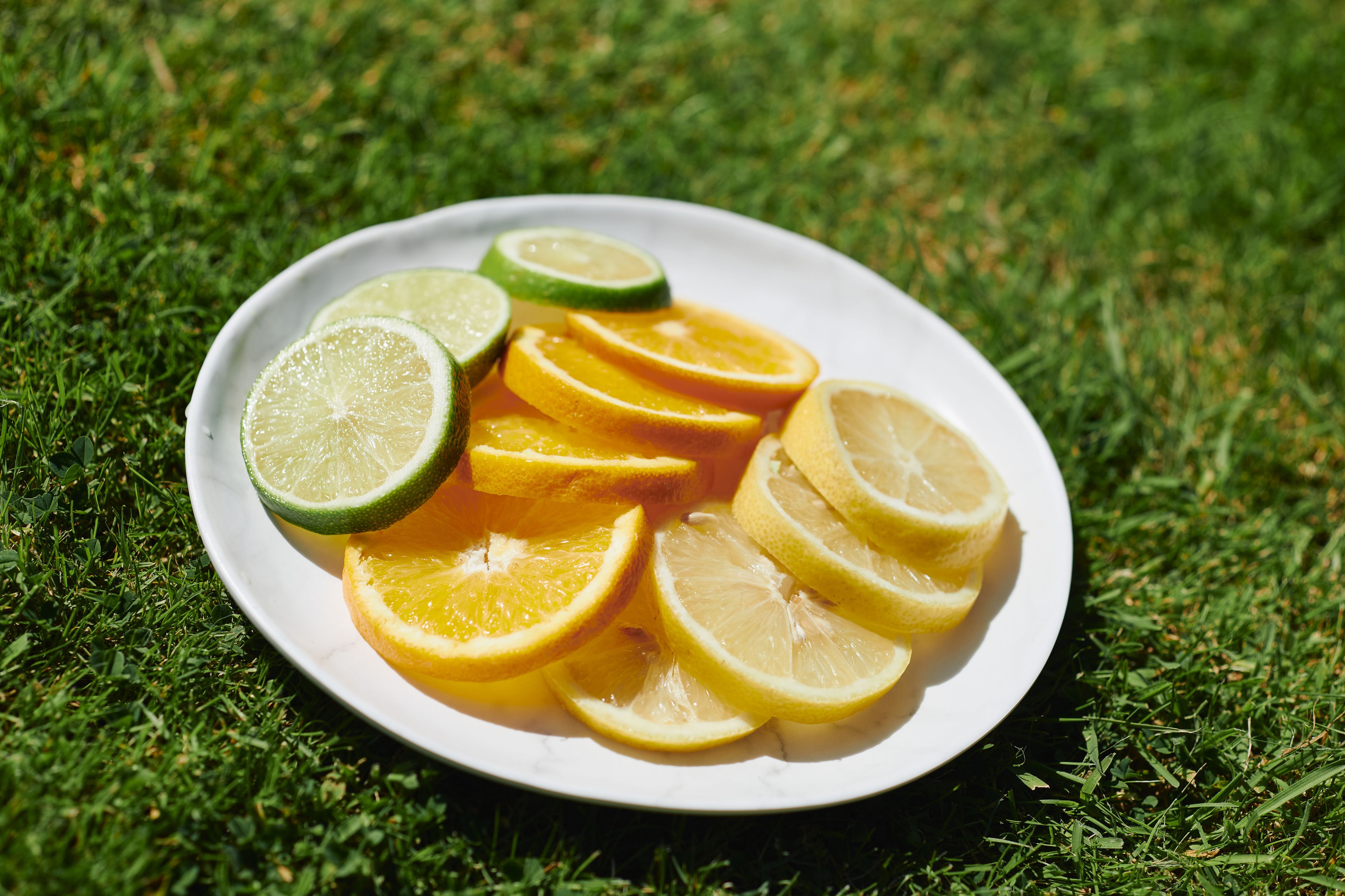 Bevor du die nächste Orange aufisst, solltest du Scheiben für den Garten aufheben. 