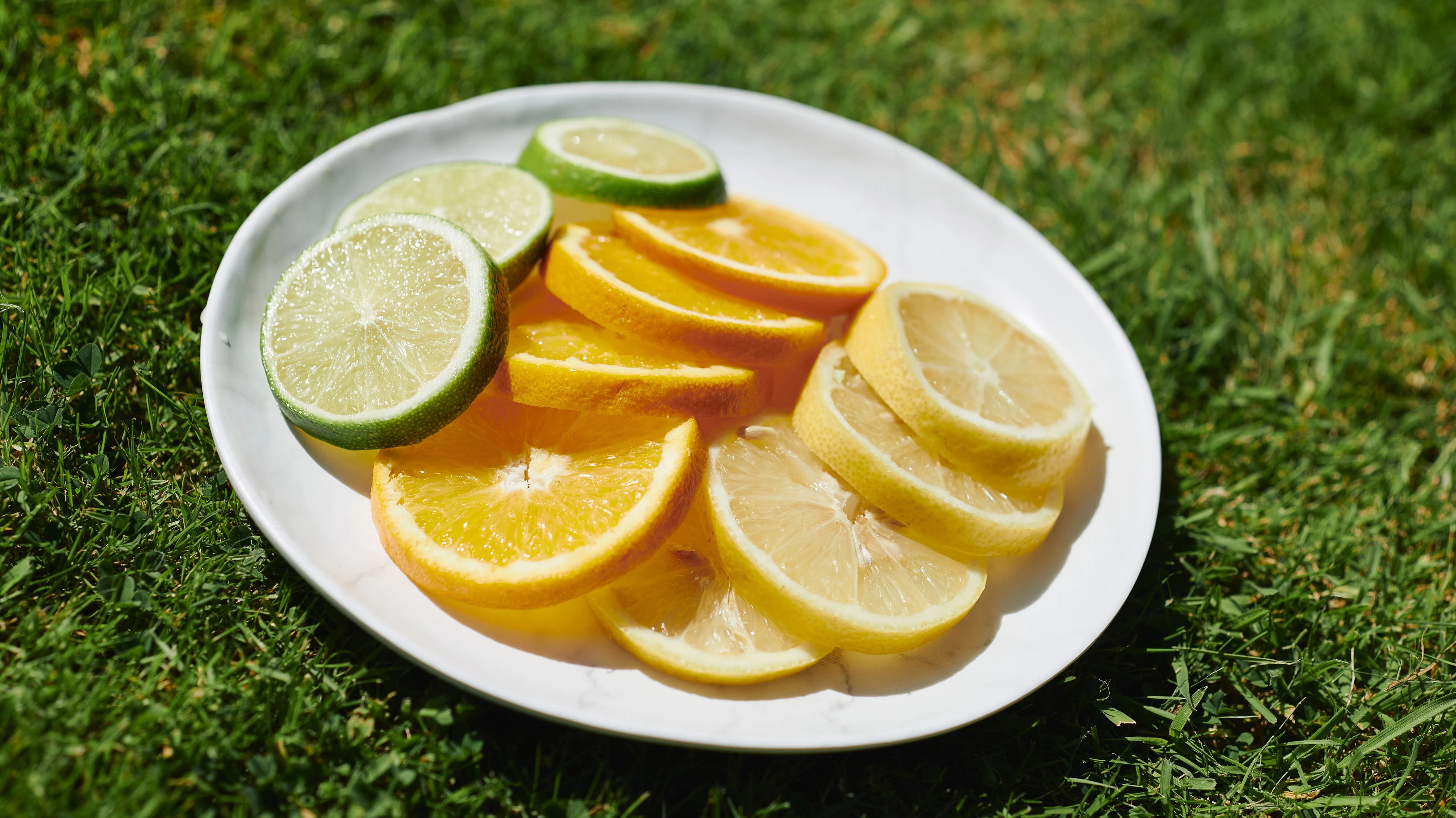 Bevor du die nächste Orange aufisst, solltest du Scheiben für den Garten aufheben. 