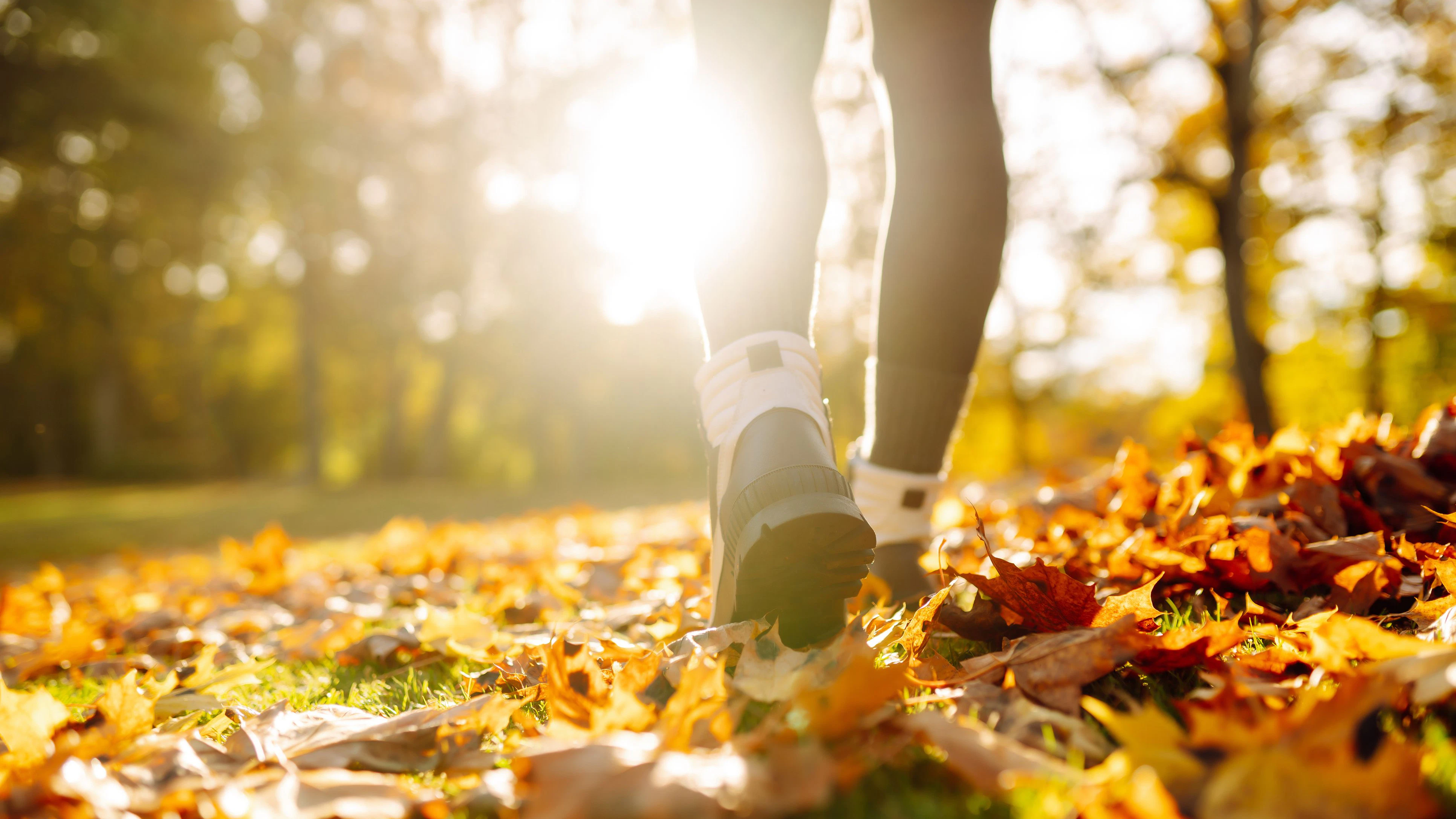 Close-up of female legs in hiking boots walks on ground with yellow-orange dry fall leaves during autumn season in park or forest. Feet walking in outdoor nature. Healthy lifestyle on leisure activity