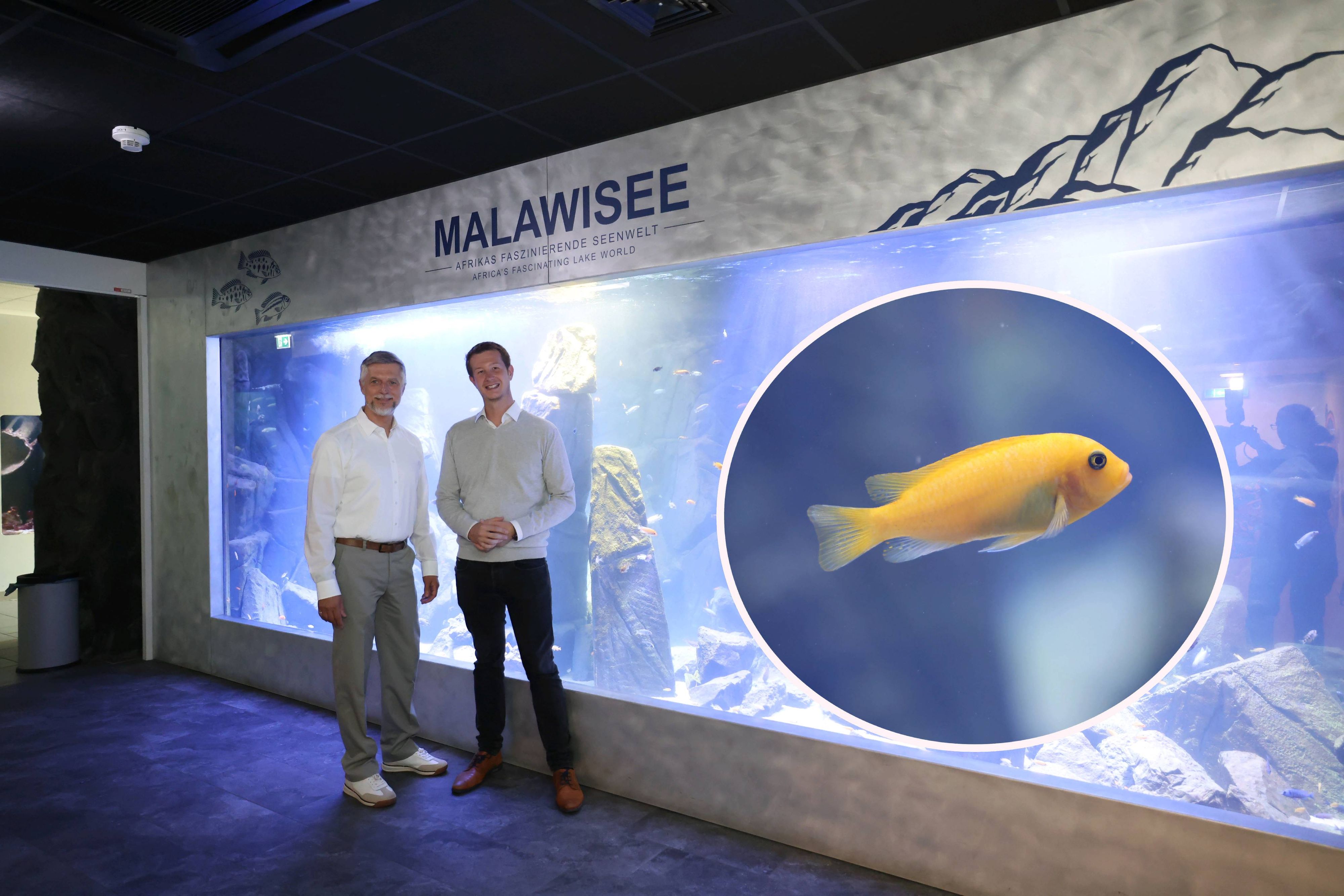(v.l.) Hans Köppen (GF Haus des Meeres) und Jeff Schreiner (Direktor Haus des Meeres) freuen sich über das neue Aquarium.