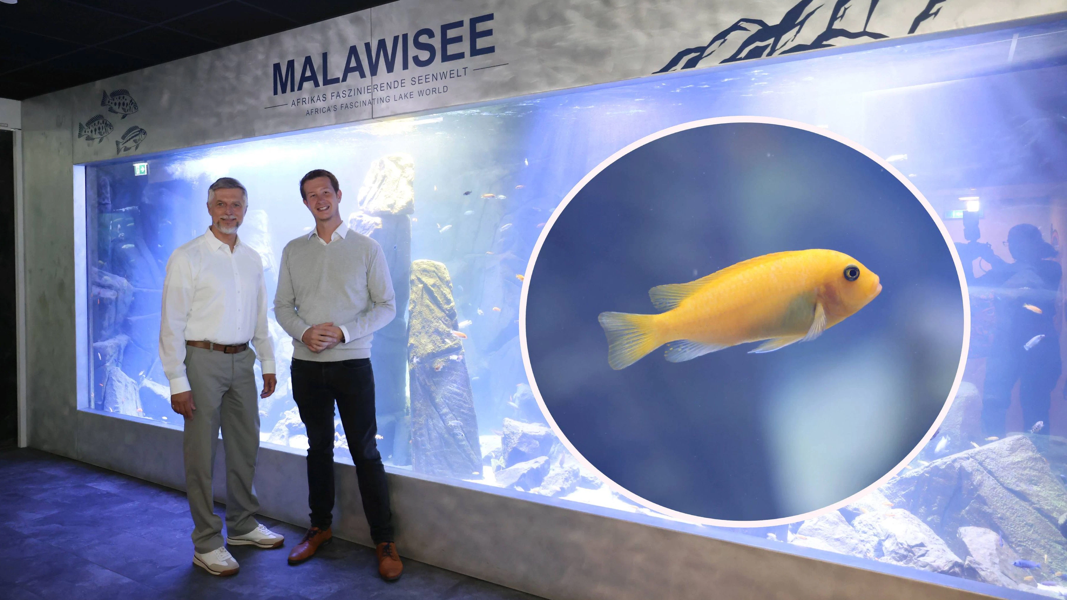 Heute.at - 40.000 Liter! Dieses Riesen-Aquarium ist neu in Wien