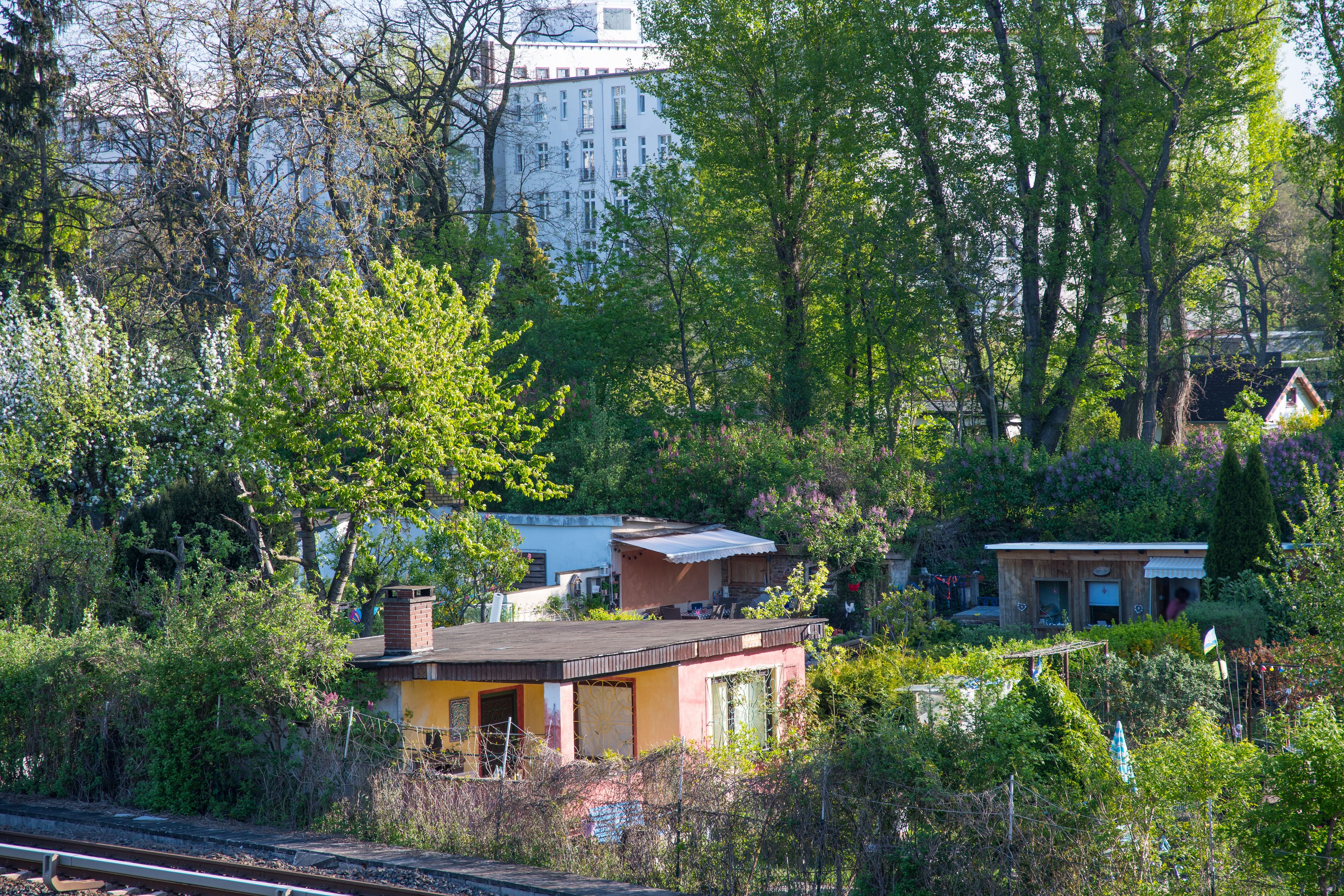 Viele Kleingärtner schauen aktuell durch die Finger.