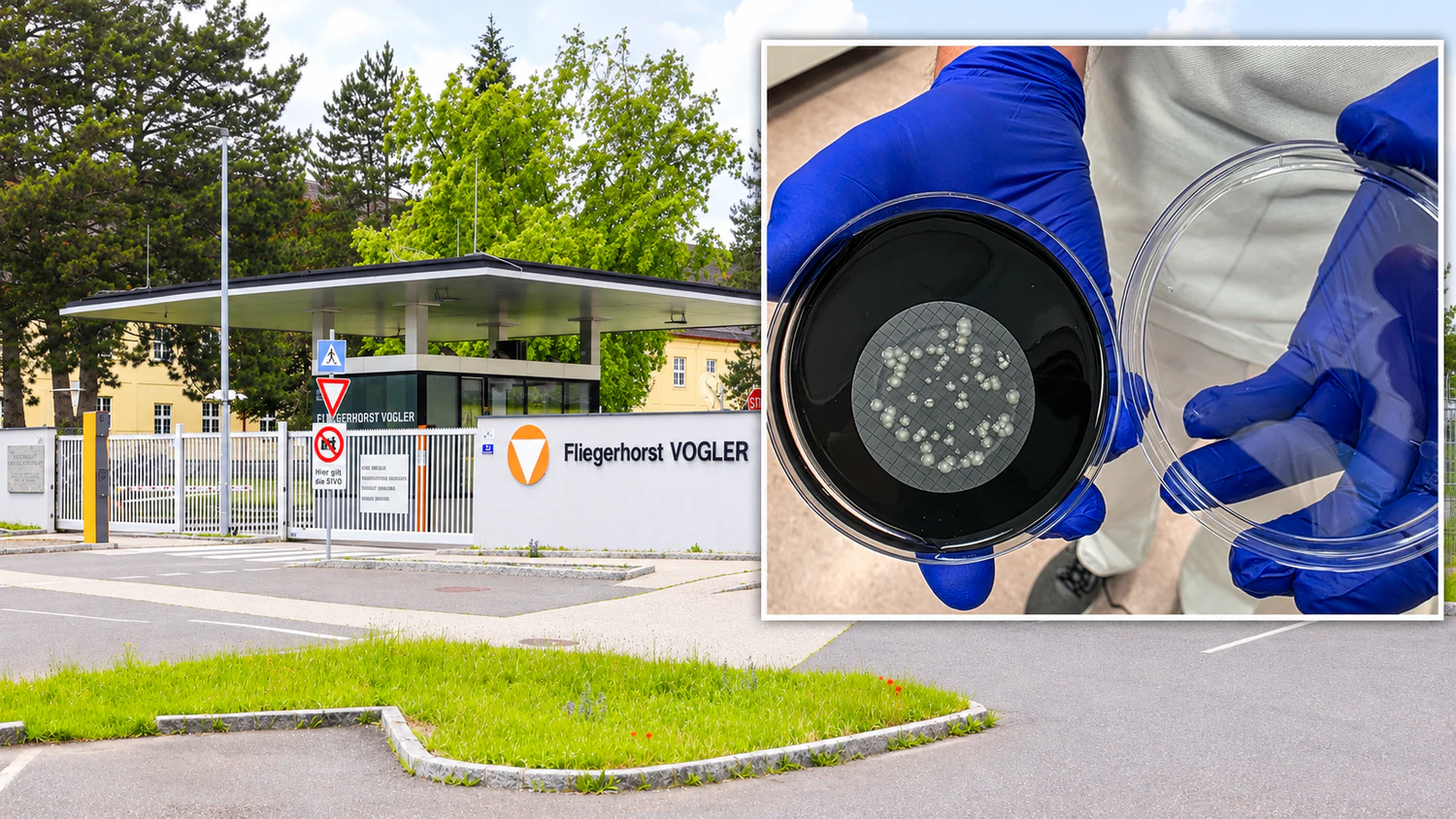 Heute.at - Gefährliche Legionellen – auch Bundesheer betroffen