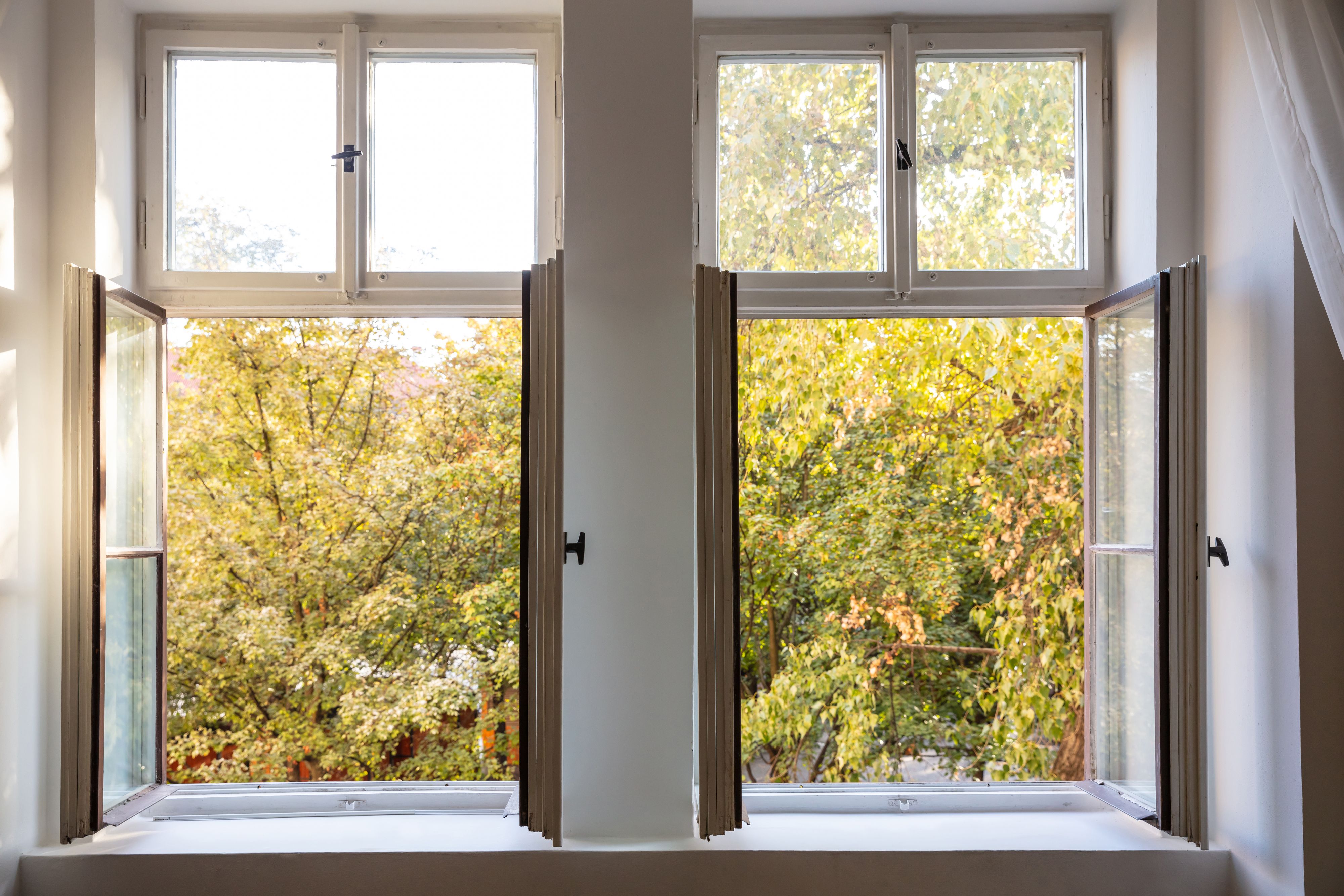 Die Nächte werden kühler, der Herbst ist da – doch das Schlafzimmerfenster bleibt bei vielen offen.
