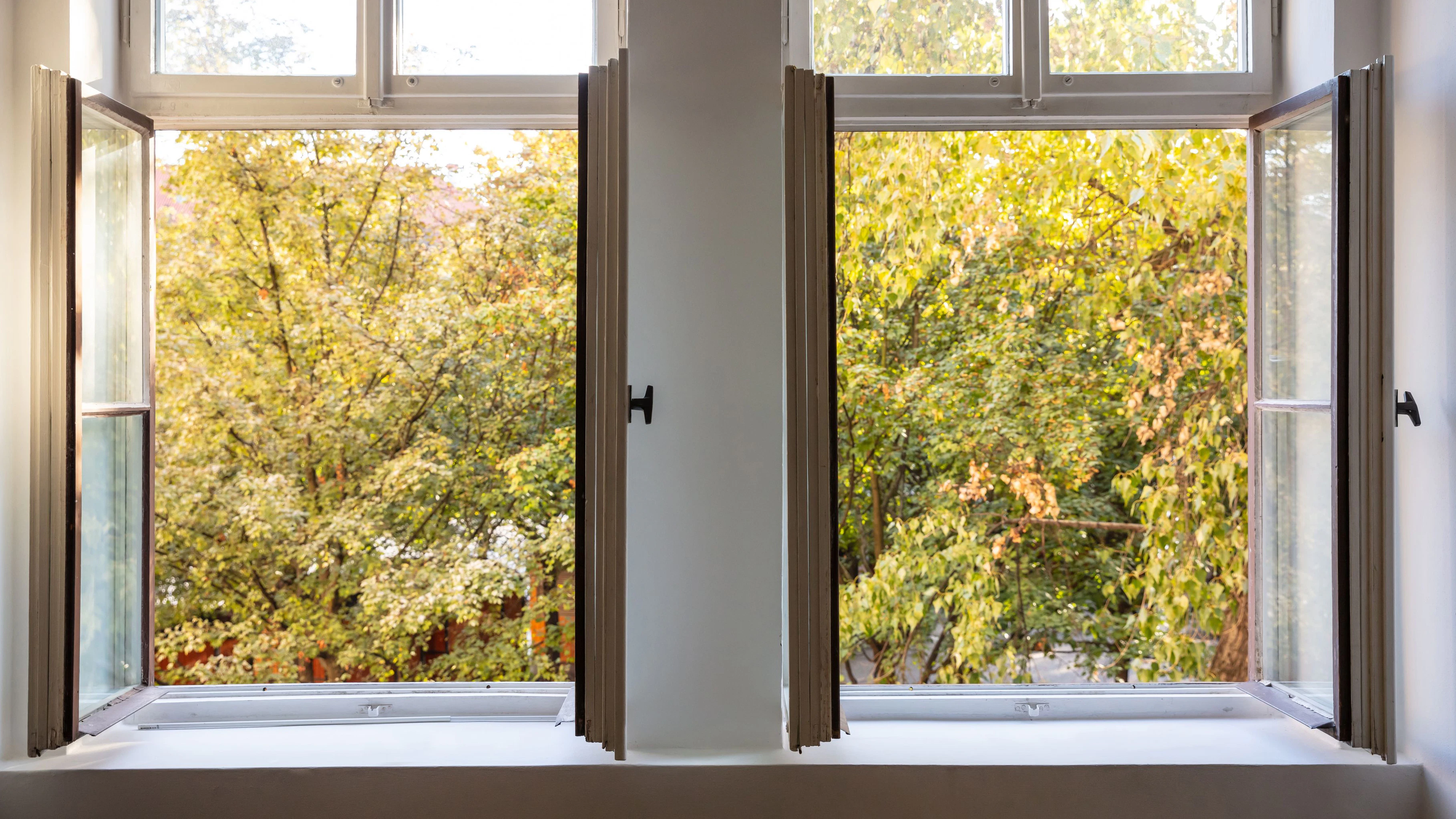 Fenster öffnen im Herbst