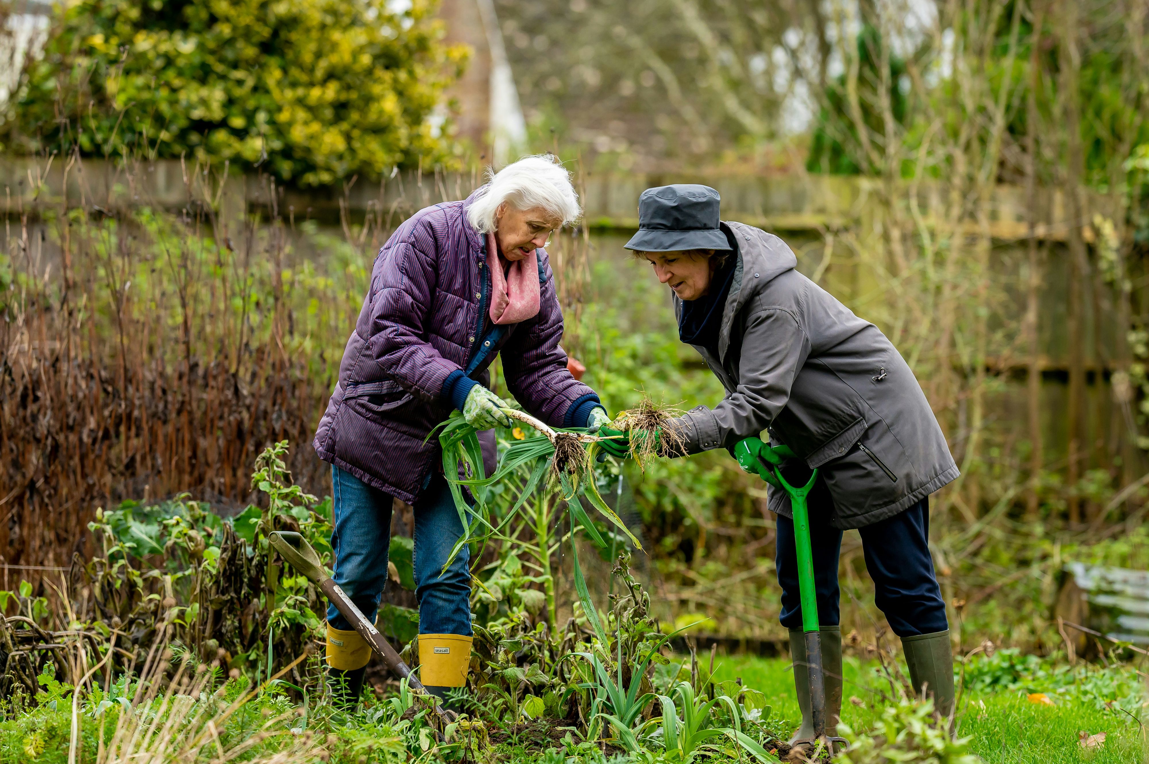 Rund um den Welt-Alzheimer-Tag zeigen die Häuser zum Leben, wie Unterstützung, Selbstständigkeit und soziale Teilhabe gelingen können.
