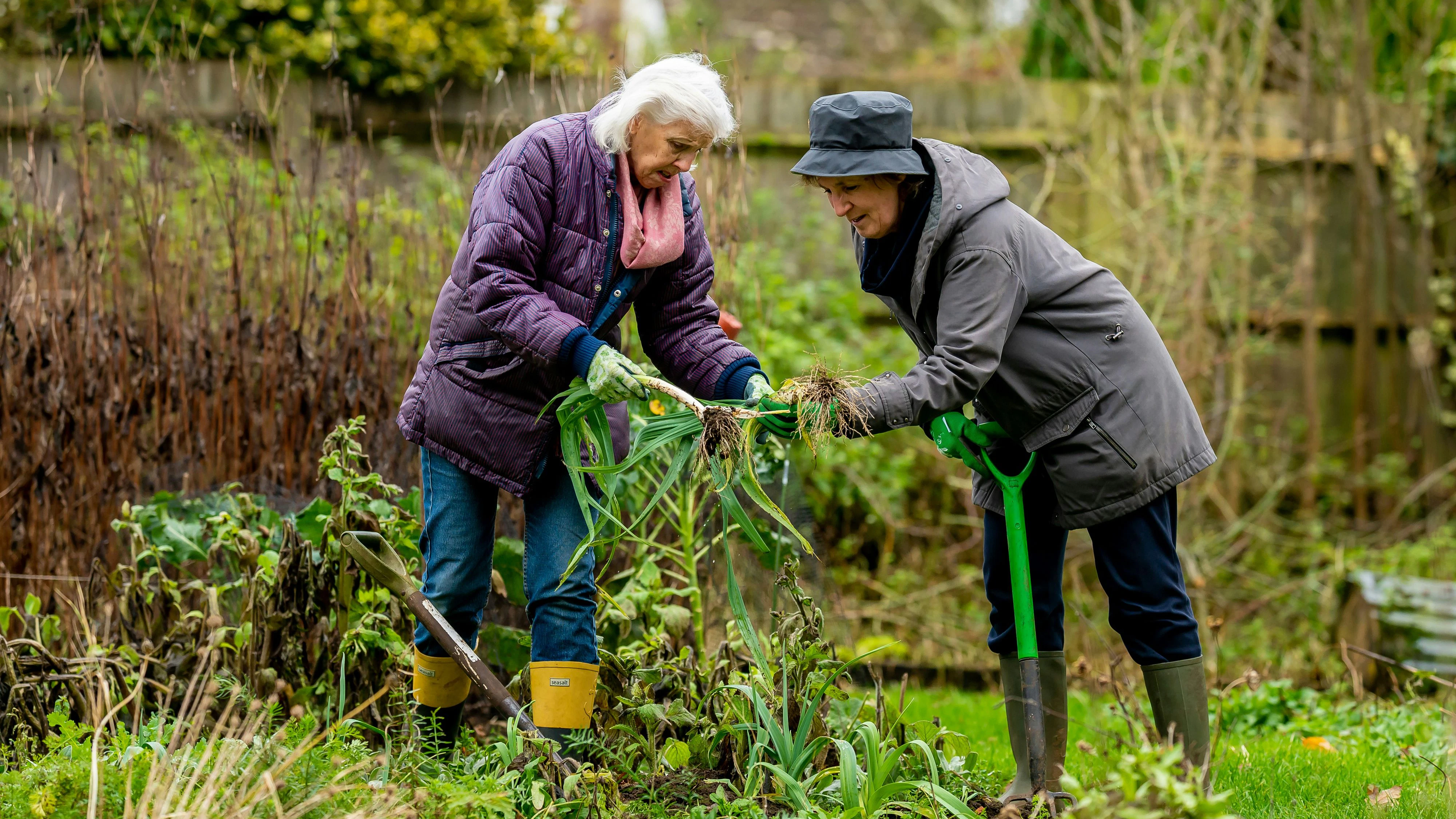 Alte Menschen & Gartenarbeit