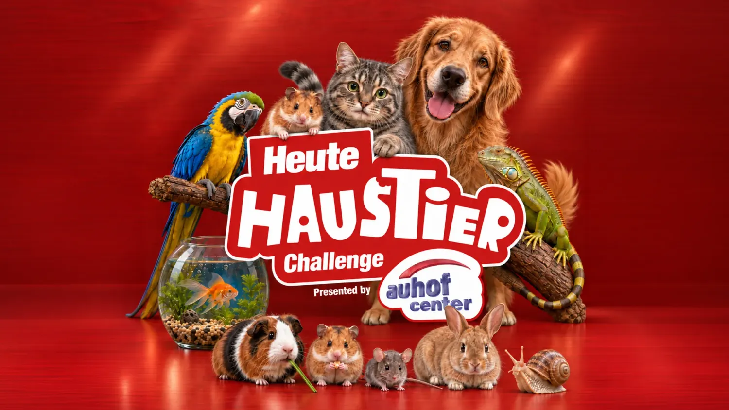 Stimme jetzt für das süßeste der eingesendeten Tierfotos