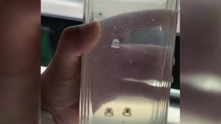 Heute.at - Leben in dieser Wasserflasche kleine Quallen?