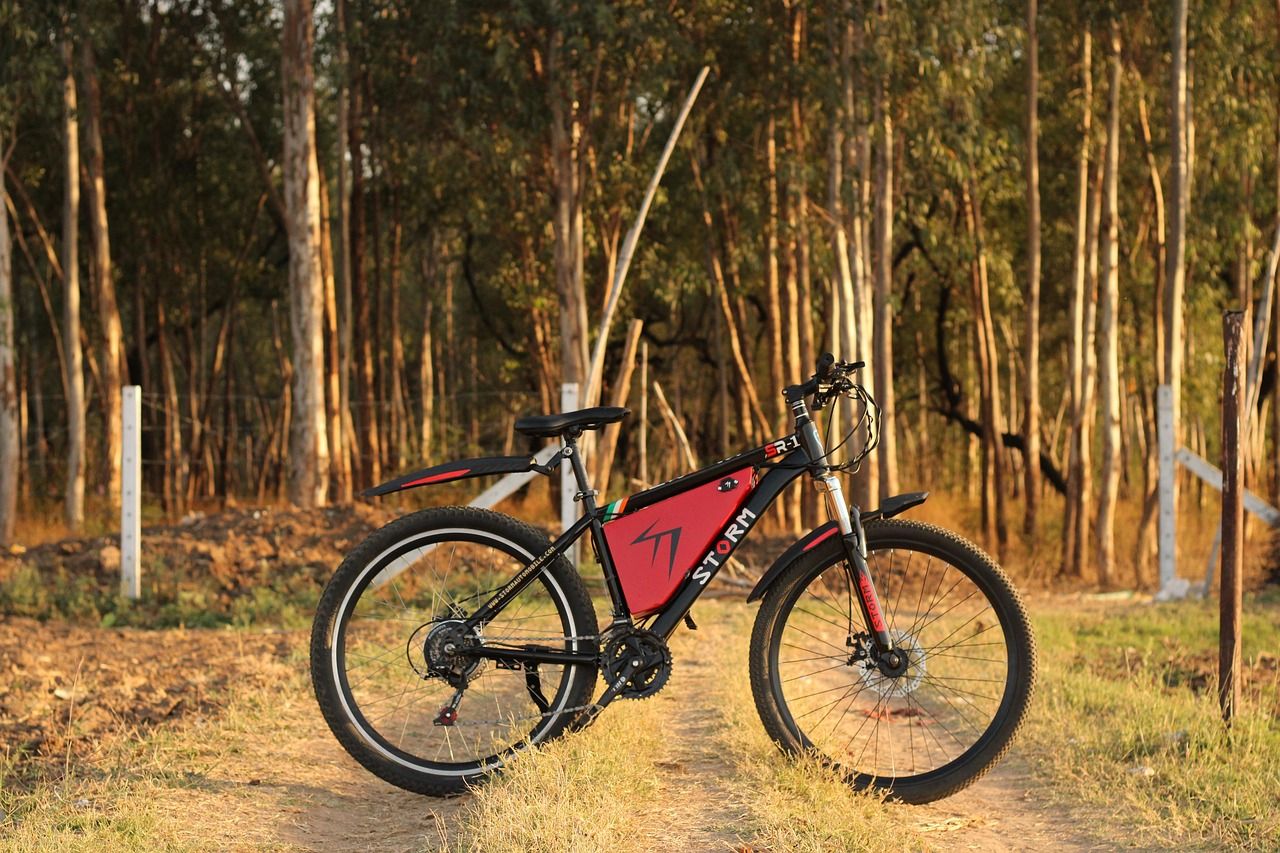 Modernes E-Bike mit Direktantrieb