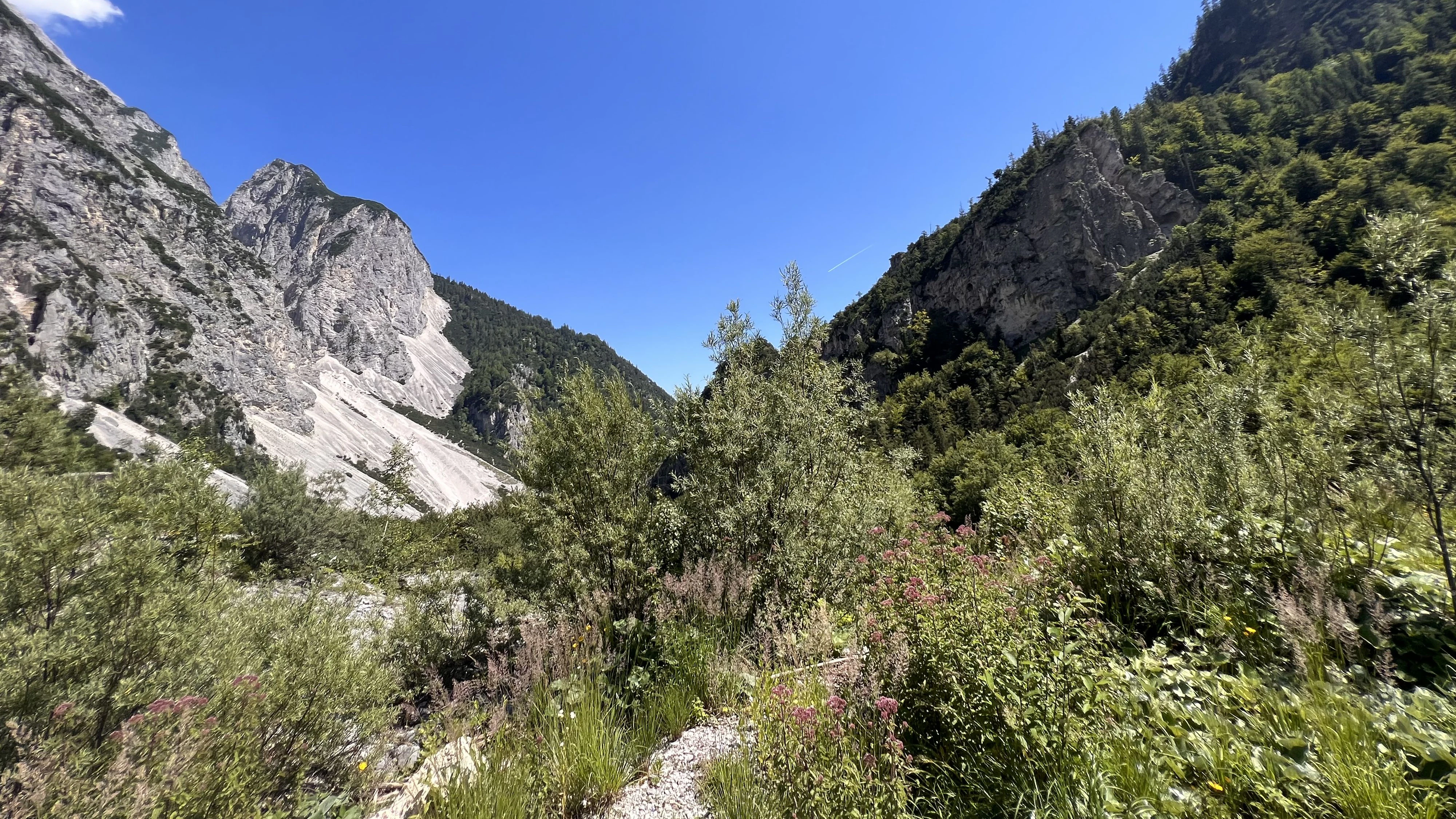 Heute.at - Todes-Sturz im Halltal: Wärmebildkamera fand Vermissten