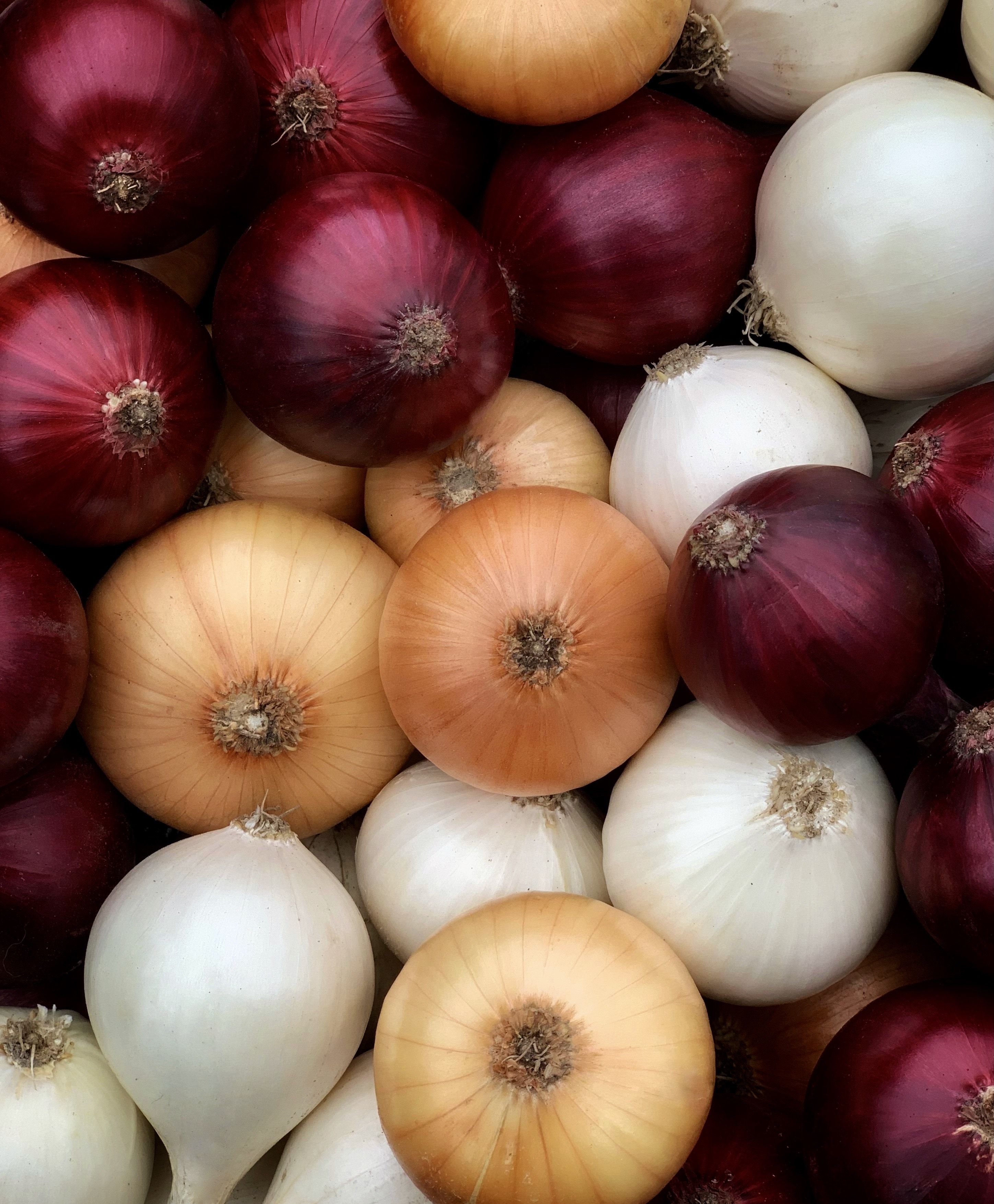 Rot, gelb oder weiß: Jede Zwiebel hat ihre Stärken.