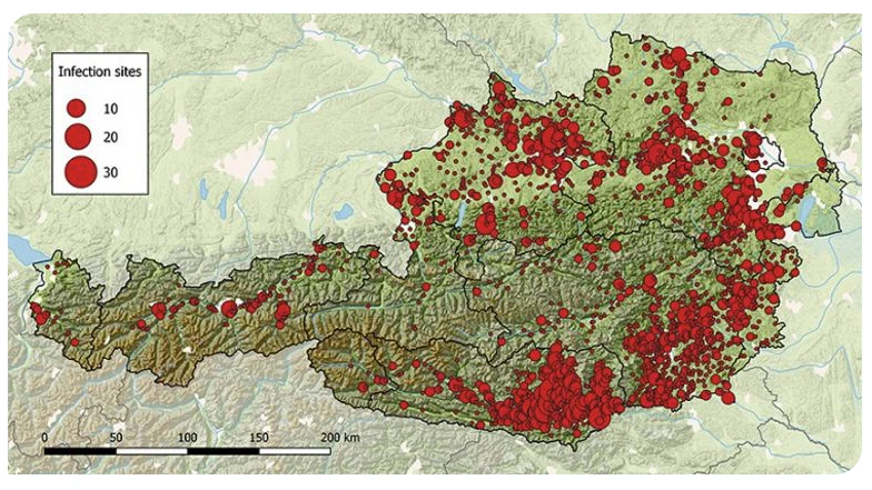 Kumulative Infektionsorte von FSME-Patienten: 1972 - 2025