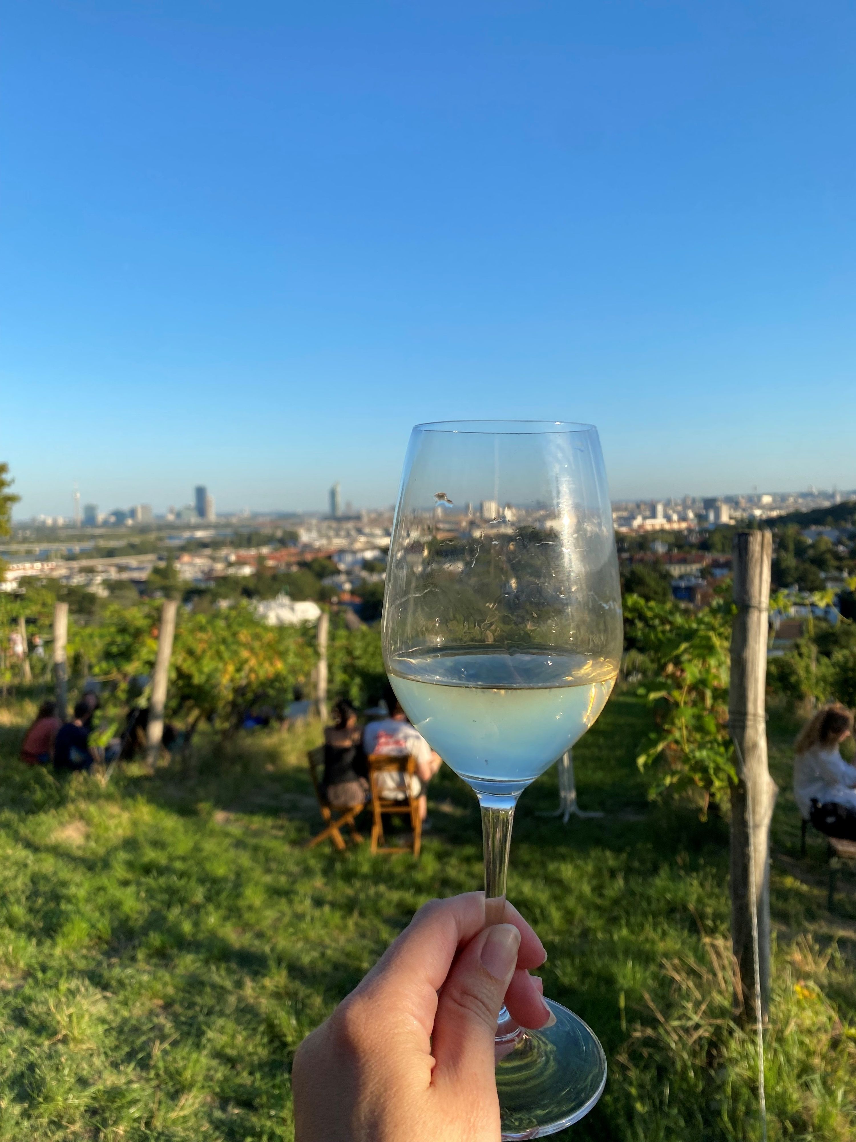 Zwischen Reben, Wiener Wein und regionalen Schmankerln wandert Wien wieder am 26. und 27. September 2026.