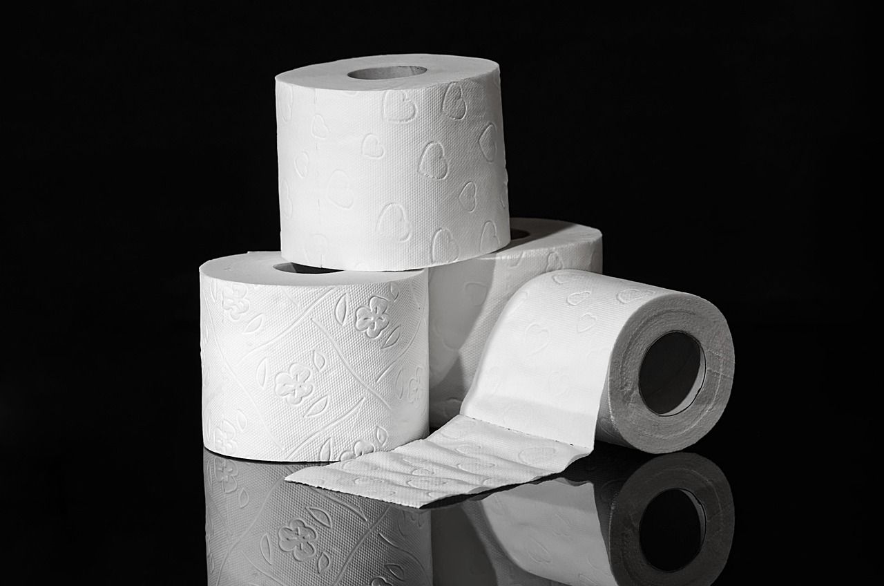 Toilettenpapier Rolle Hygiene