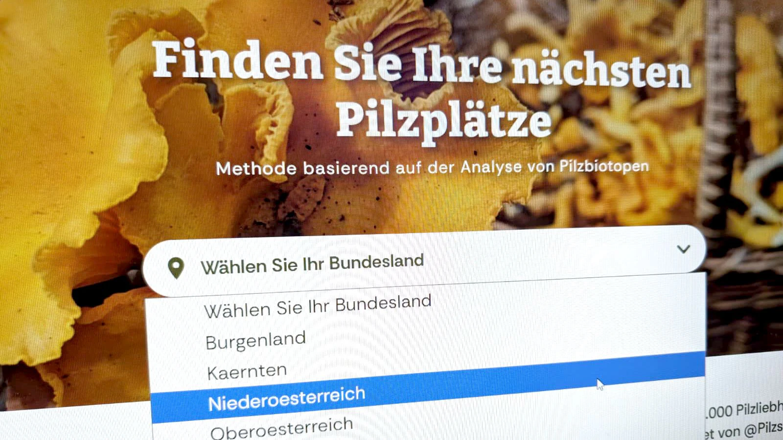 Webseiten wie diese bieten Hilfe bei der Schwammerlsuche. Eingefleischte Pilzjäger rümpfen dabei die Nase.