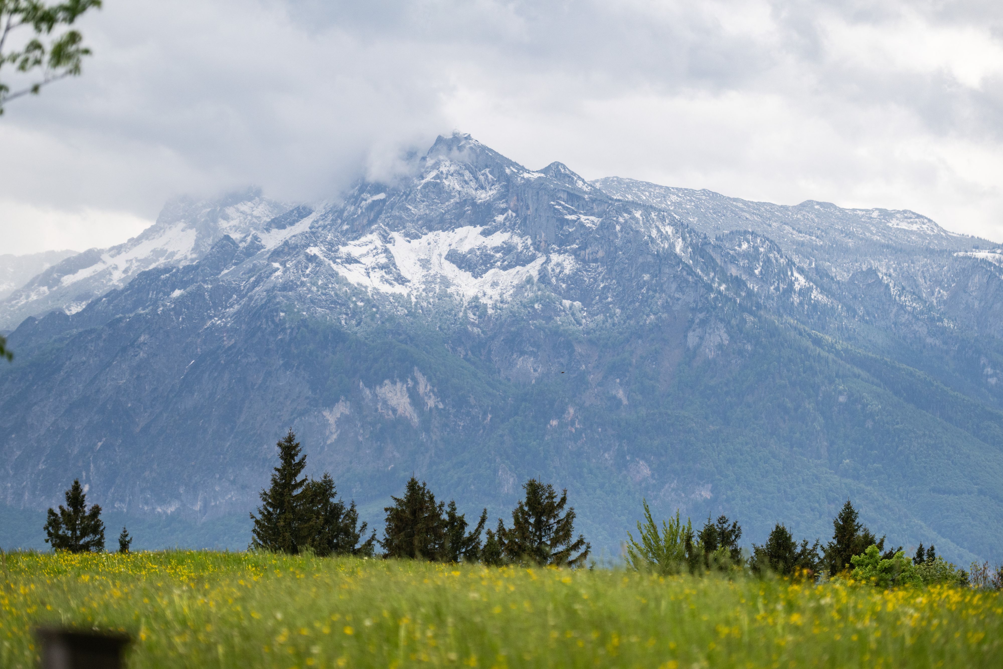 Heute.at - Frost-Alarm? Tag im September soll entscheidend sein