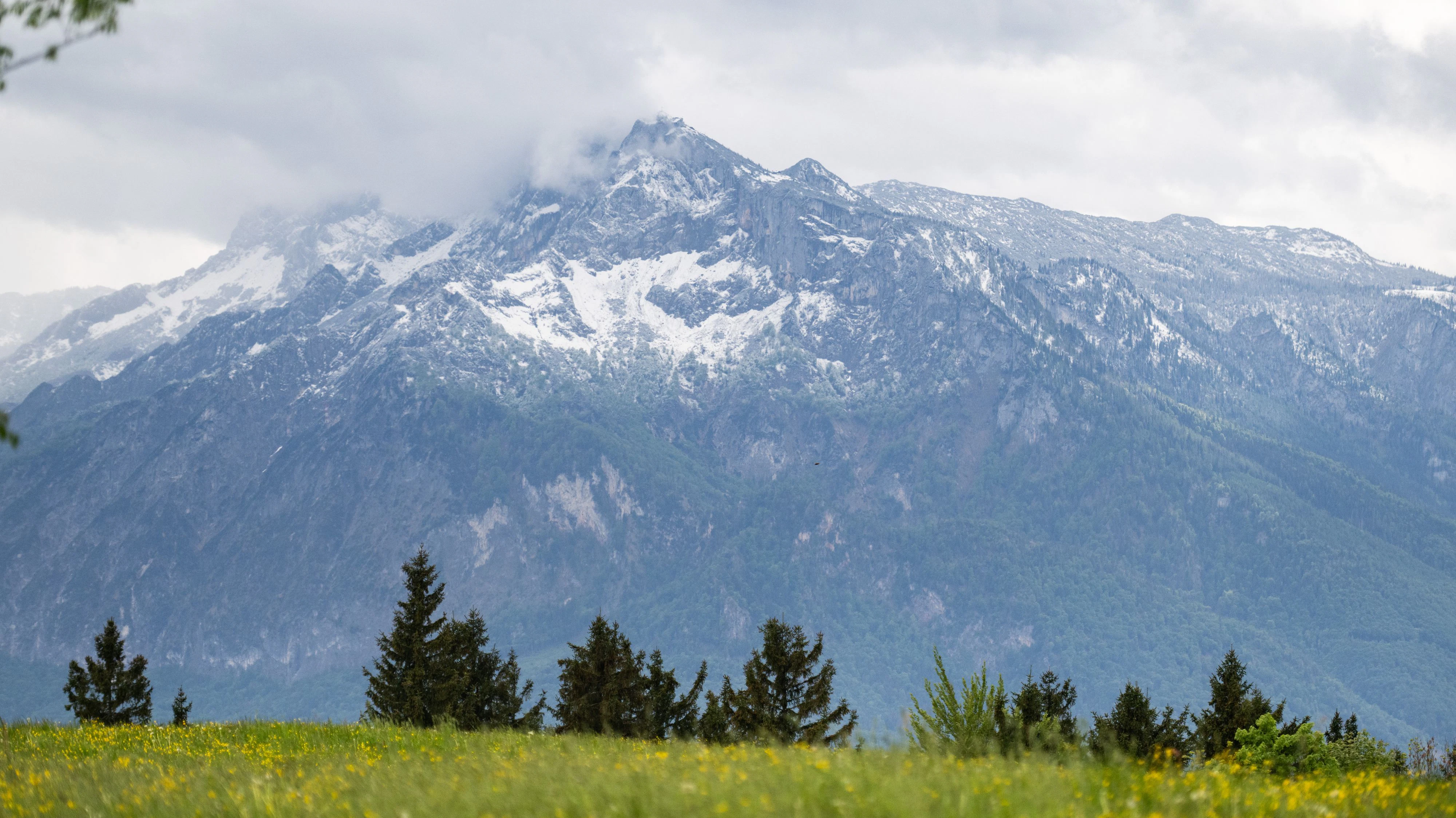 Themenbild - Die Eisheiligen machen ihrem Namen dieses Jahr alle Ehre. Nach einem frühsommerlichen Start stellt sich die Wetterlage um mit Neuschnee in vielen Regionen der Alpen. Im Bild: Winterliche Eindrücke auf der Zistelalm und der umliegenden Berglandschaft (Untersberg) am 12.05.2026. // Featured image - The Ice Saints are living up to their name this year. After an early summer start, the weather is changing, with fresh snowfall in many regions of the Alps. Pictured: Winter scenes on the Zistelalm and the surrounding mountain landscape (Untersberg) on ​​May 12, 2026.