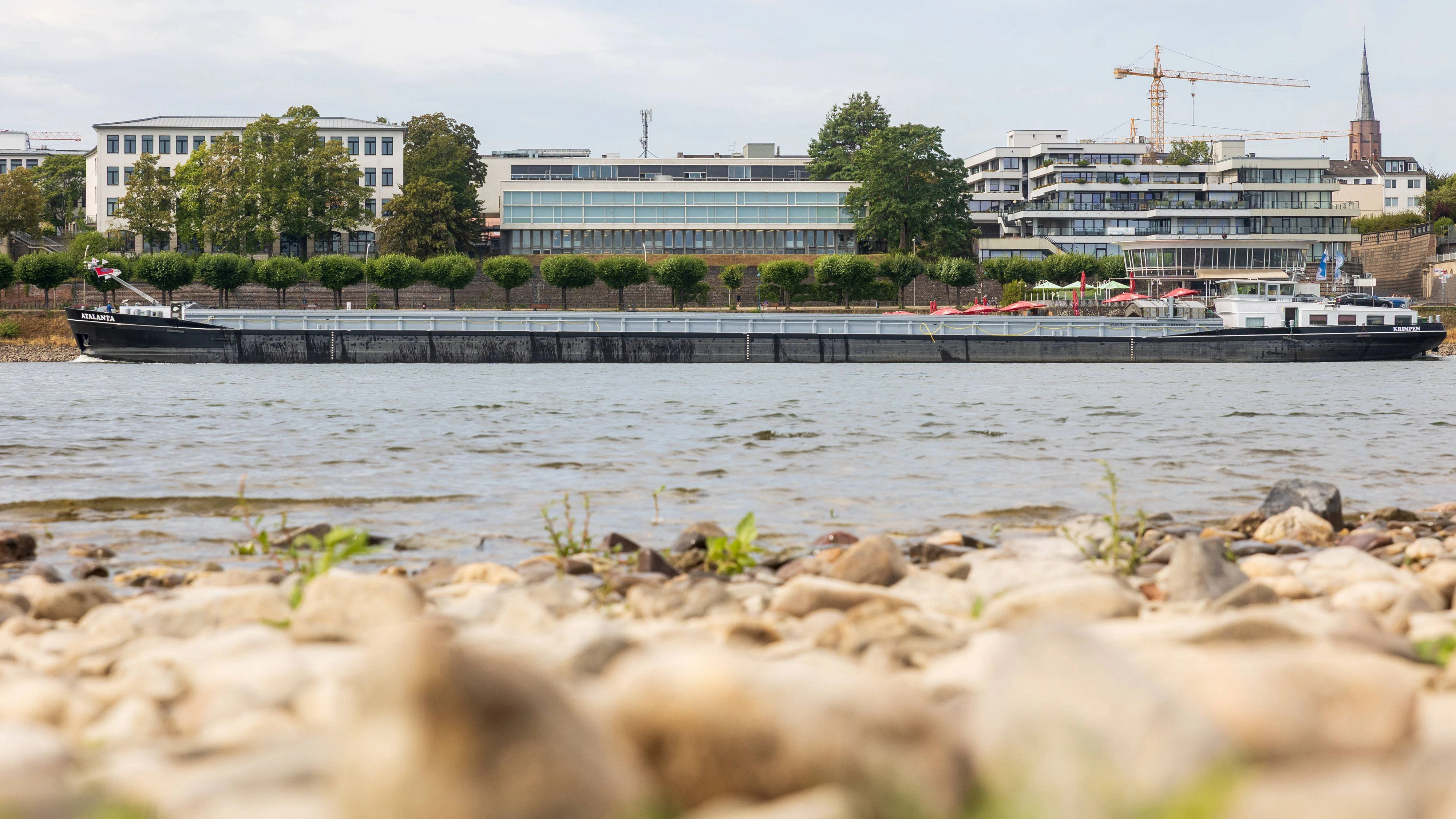 27. August 2026: Ein Binnenschiff fährt auf dem Rhein bei Bonn. Im Vordergrund sind größere Flächen aus freiliegendem Sand und Kies zu sehen, die den aktuell niedrigen Wasserstand des Flusses sichtbar machen.