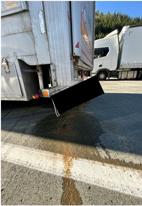 Bei der schwerpunktmäßigen Kontrolle von Tiertransportern deckten die Beamten zahlreiche Verstöße auf. 