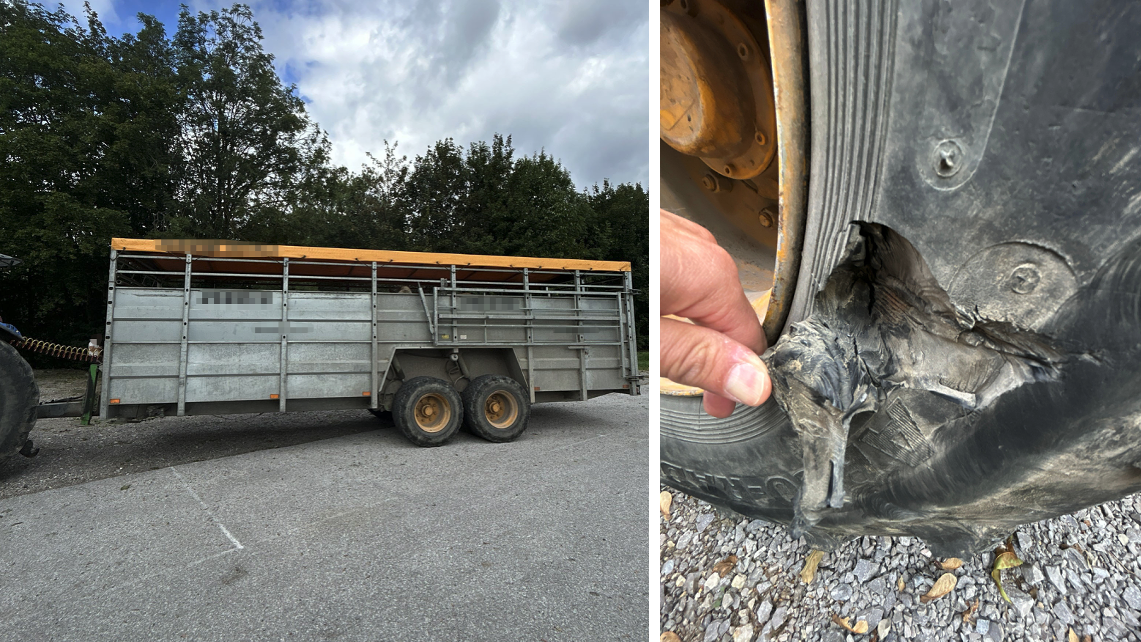 Ein Tiertransporter hatte überhaupt keine Bremswirkung.