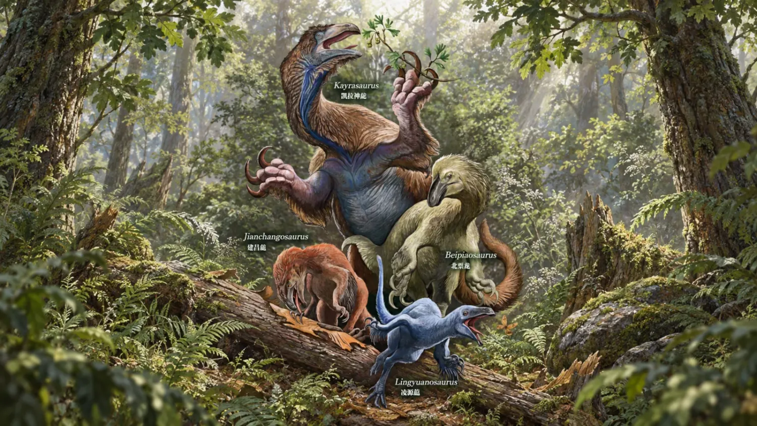 Der Kayrasaurus changliensis war mindestens 1,6-mal so groß wie sein nächster Verwandter, der Beipiaosaurus.