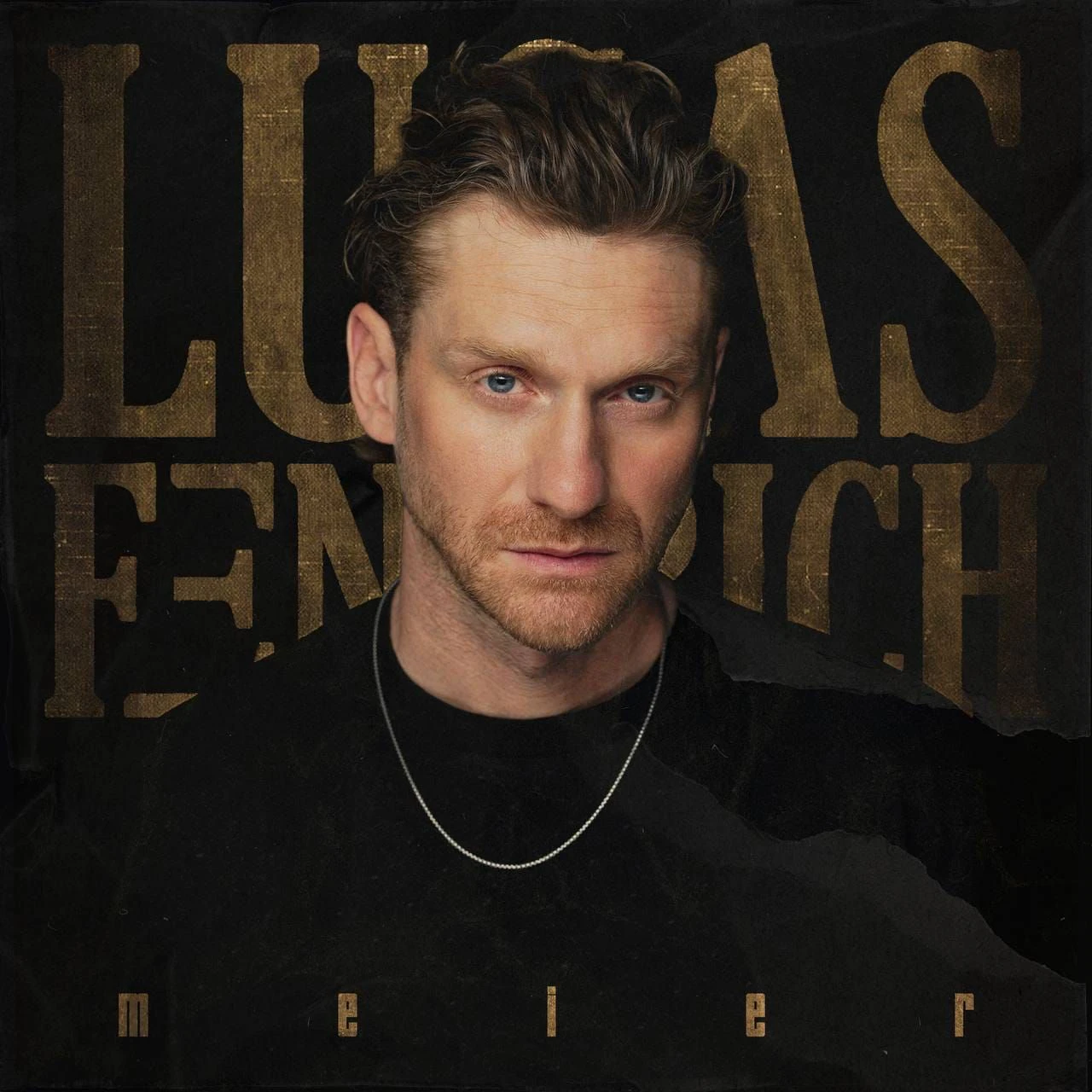 Das Cover von "meier"