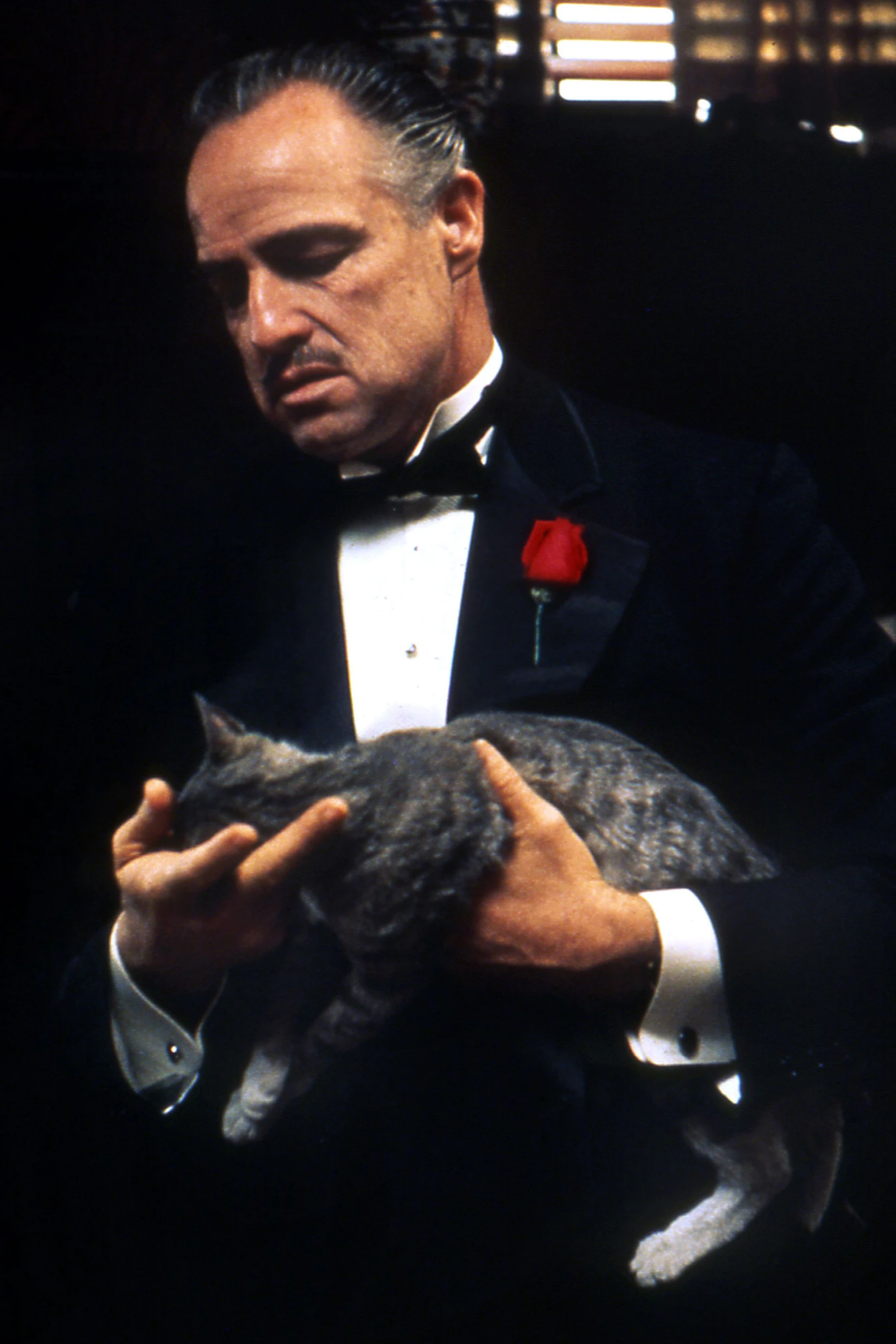 Marlon Brando sperrt sich als Don Vito Corleone im Kino-Klassiker "Der Pate" gegen den Rauschgifthandel. Ähnlich scheint die Mafia derzeit in Itaien zu agieren