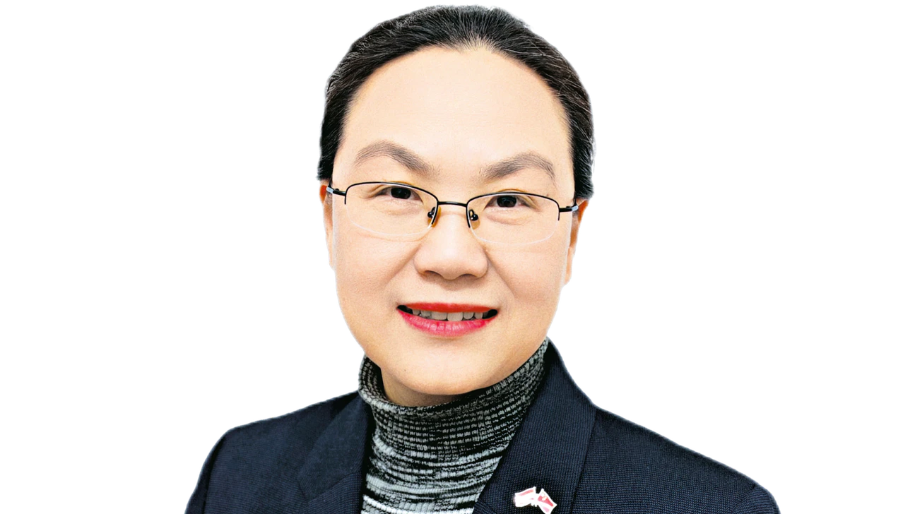 Qi Mei, Chinas Botschafterin in Wien von 2023 bis 2026.